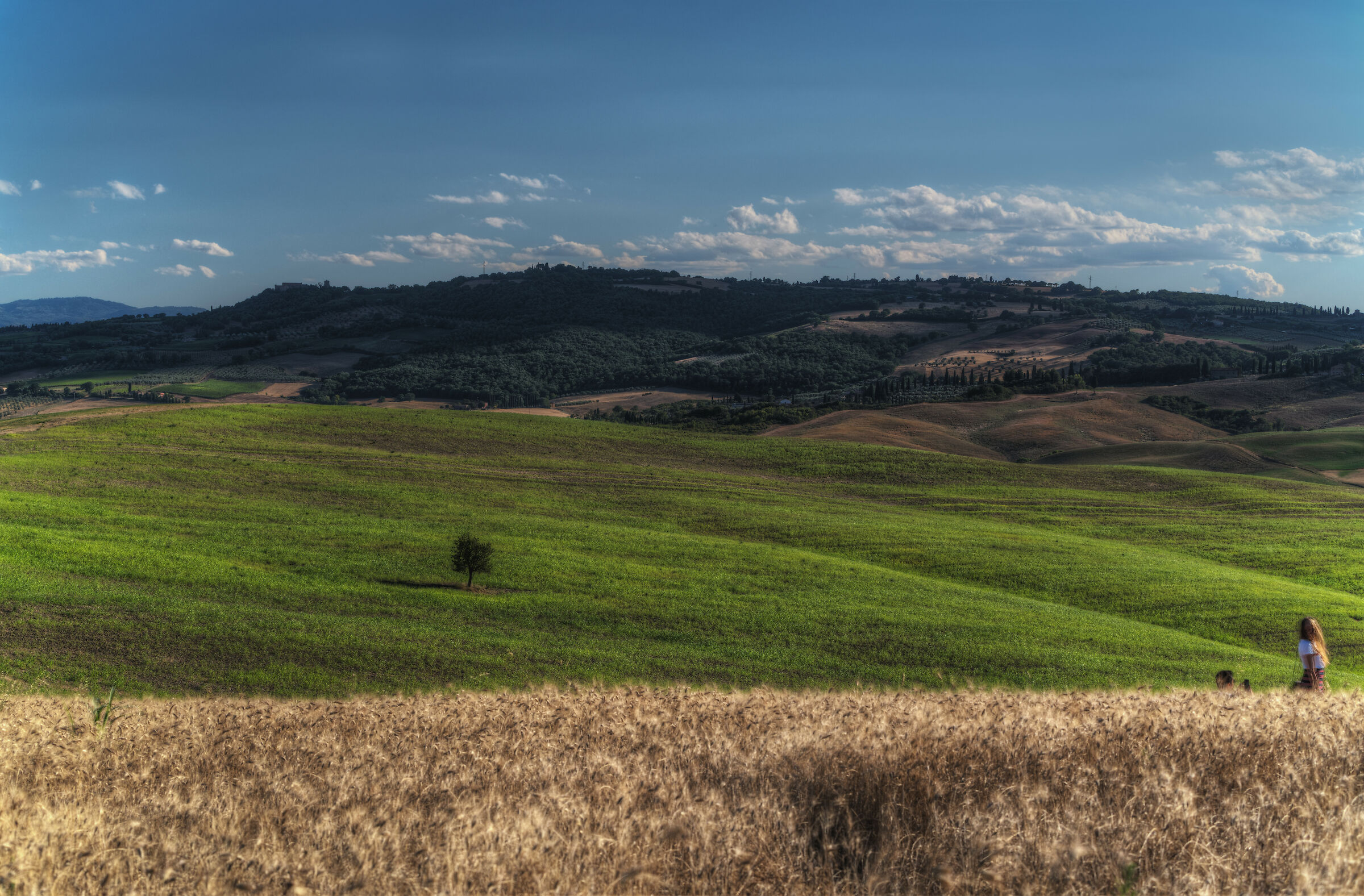 Val D'orcia Fields
