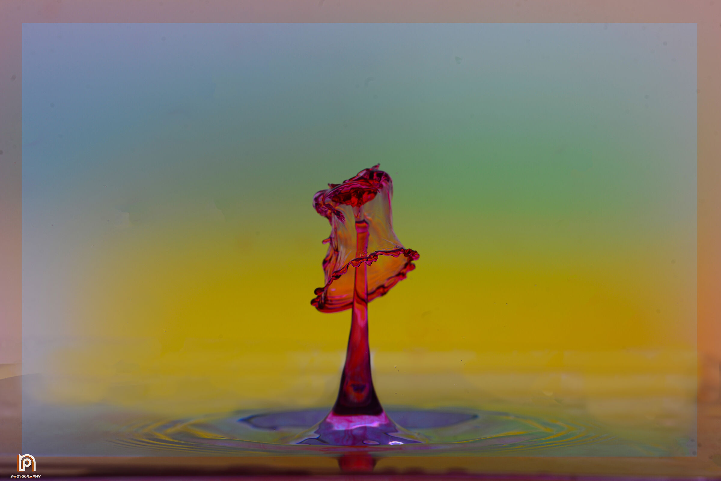 drop's collisions