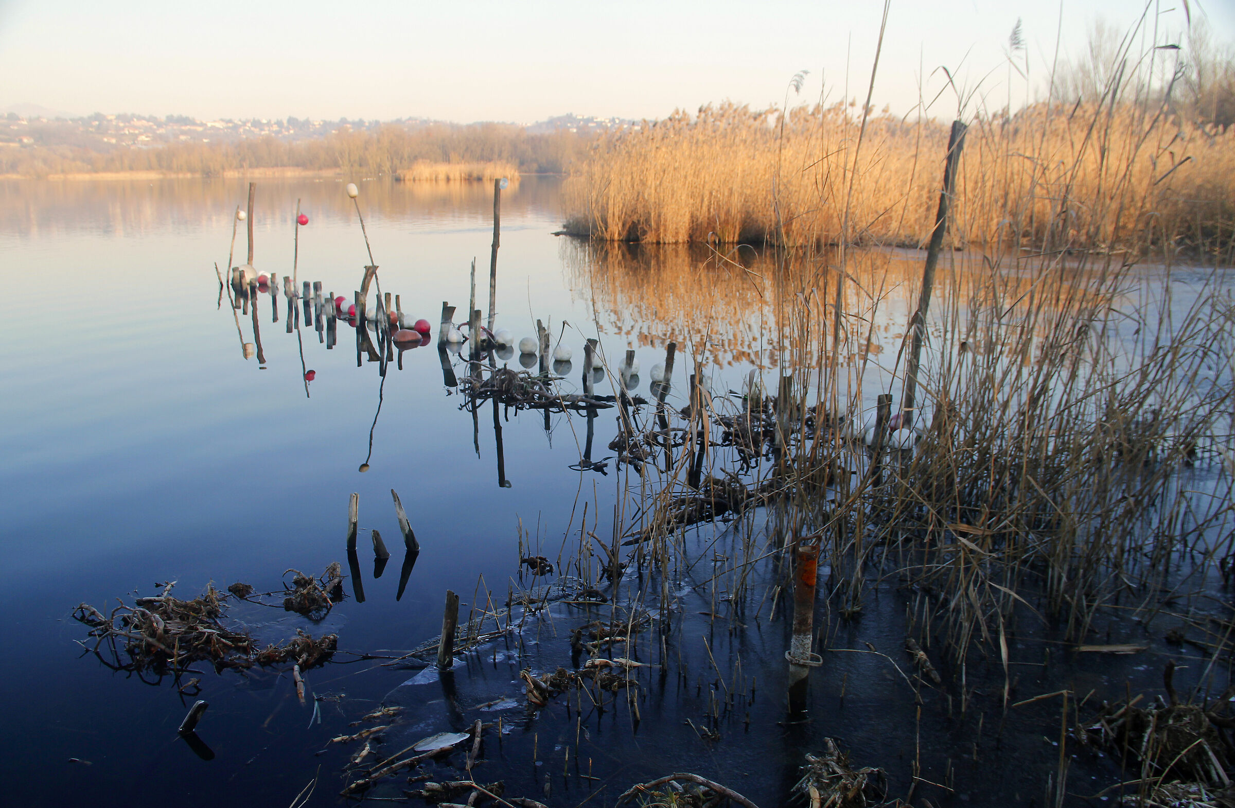 osservando il lago