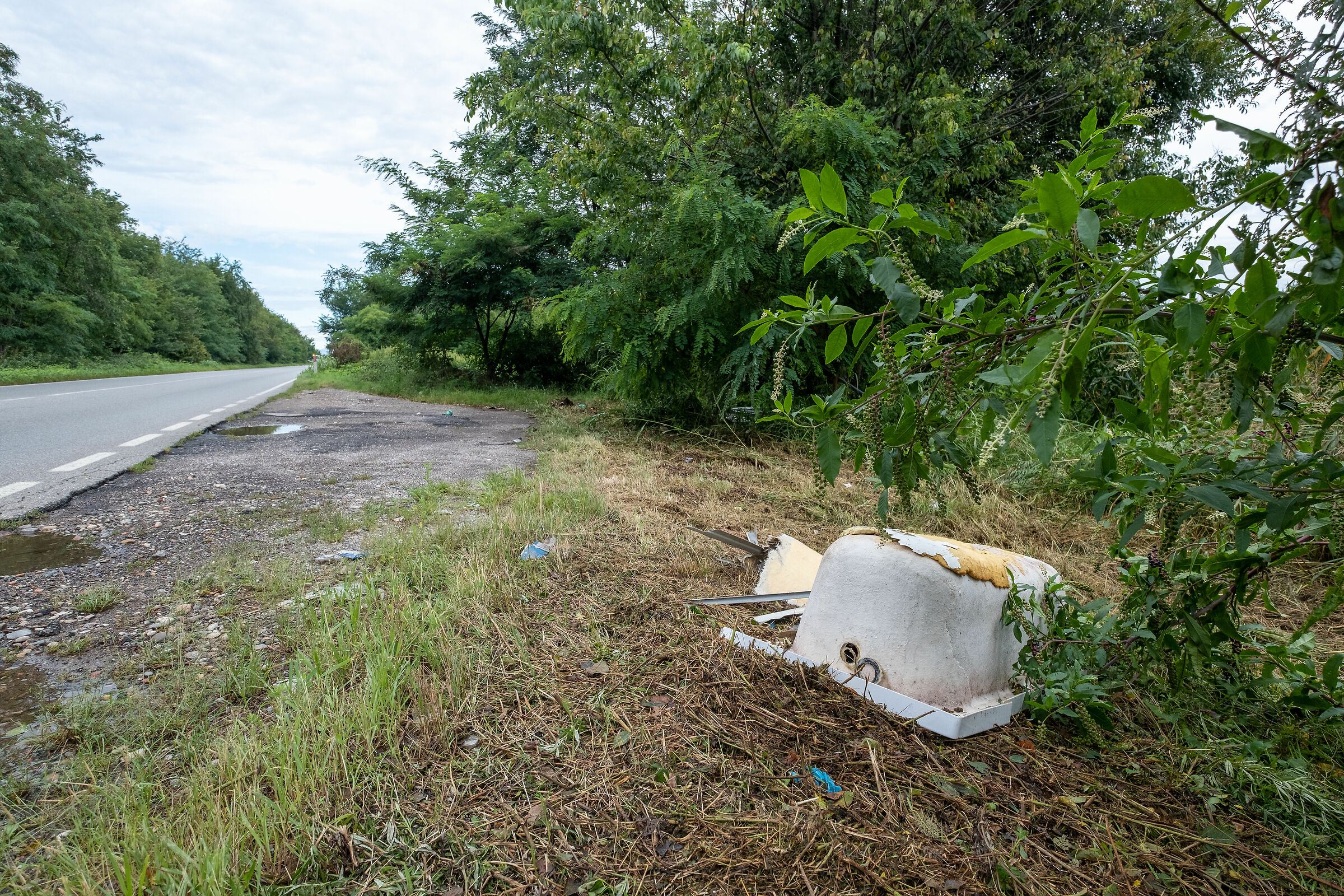 metti che qualcuno deve lavarsi