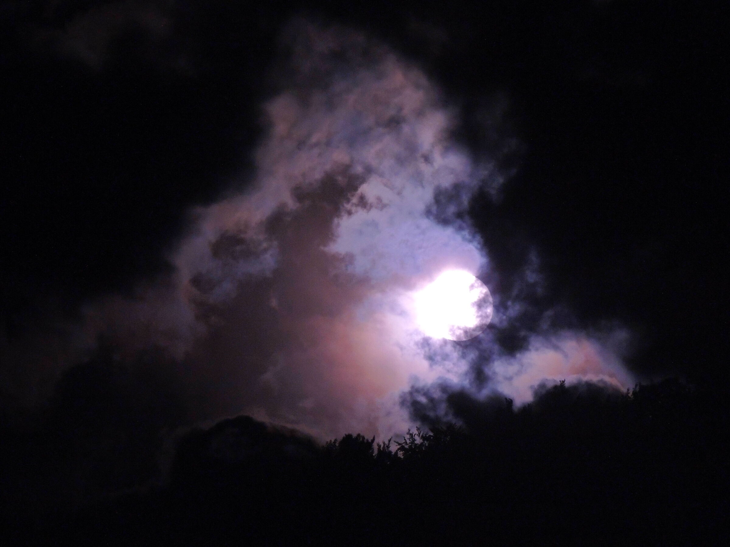 Night
