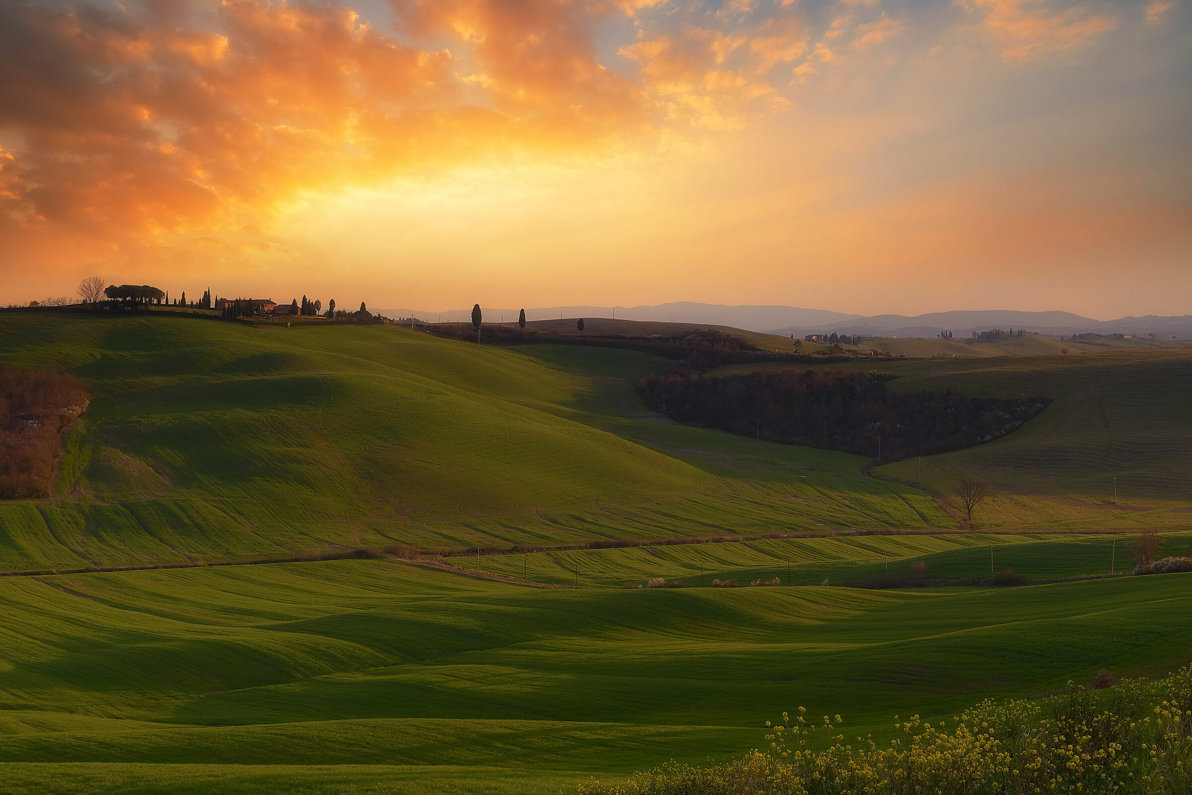 Crete Senesi al tramonto