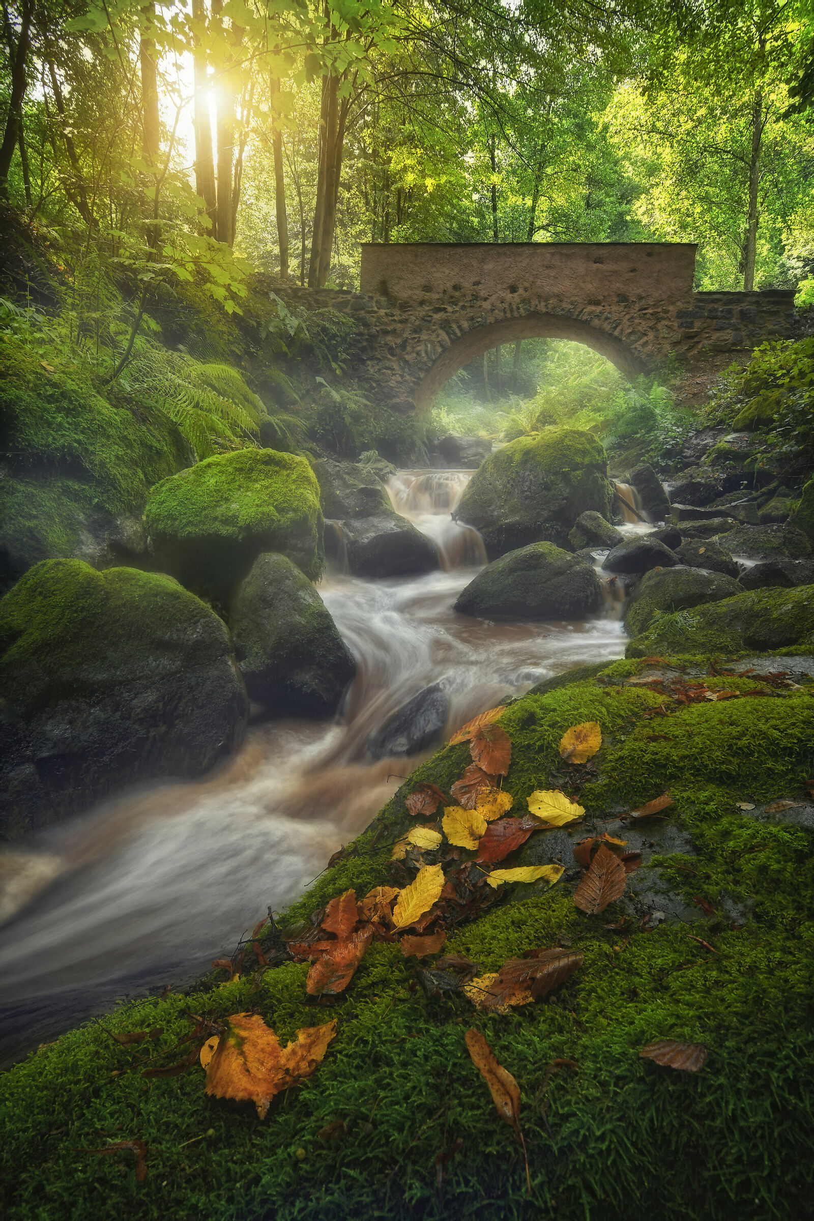 Dopo il temporale...