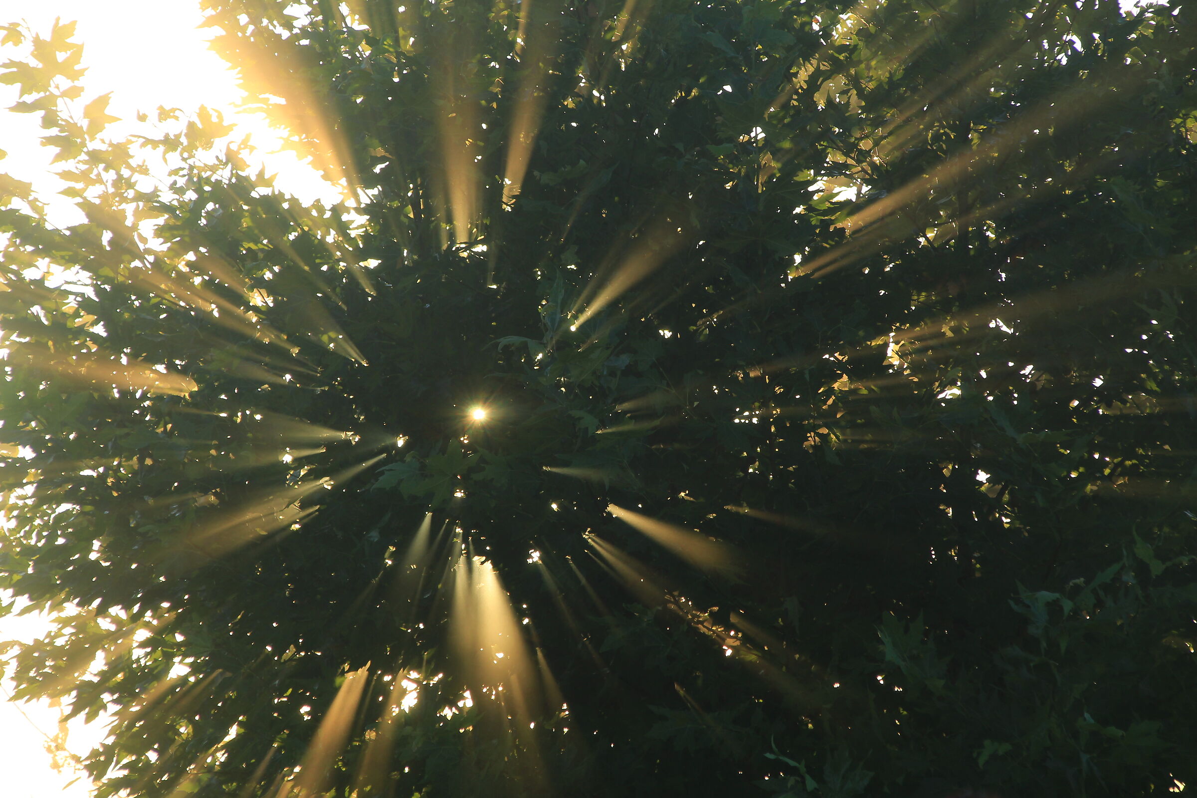 Il sole all'improvviso