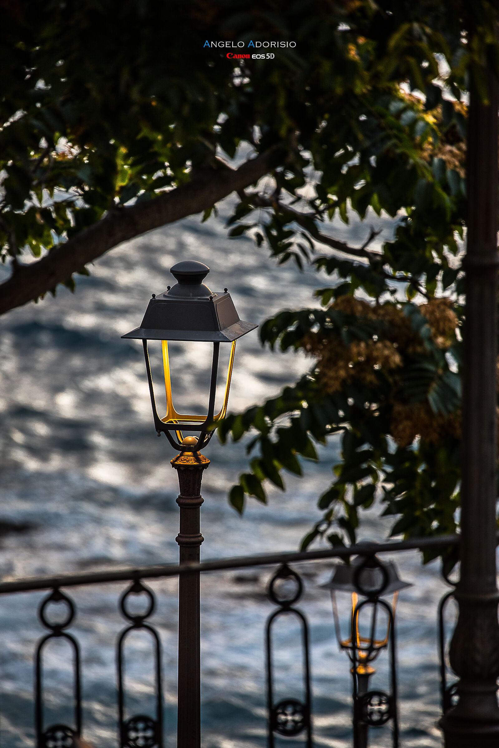 d and t t a g l i and s t i v i