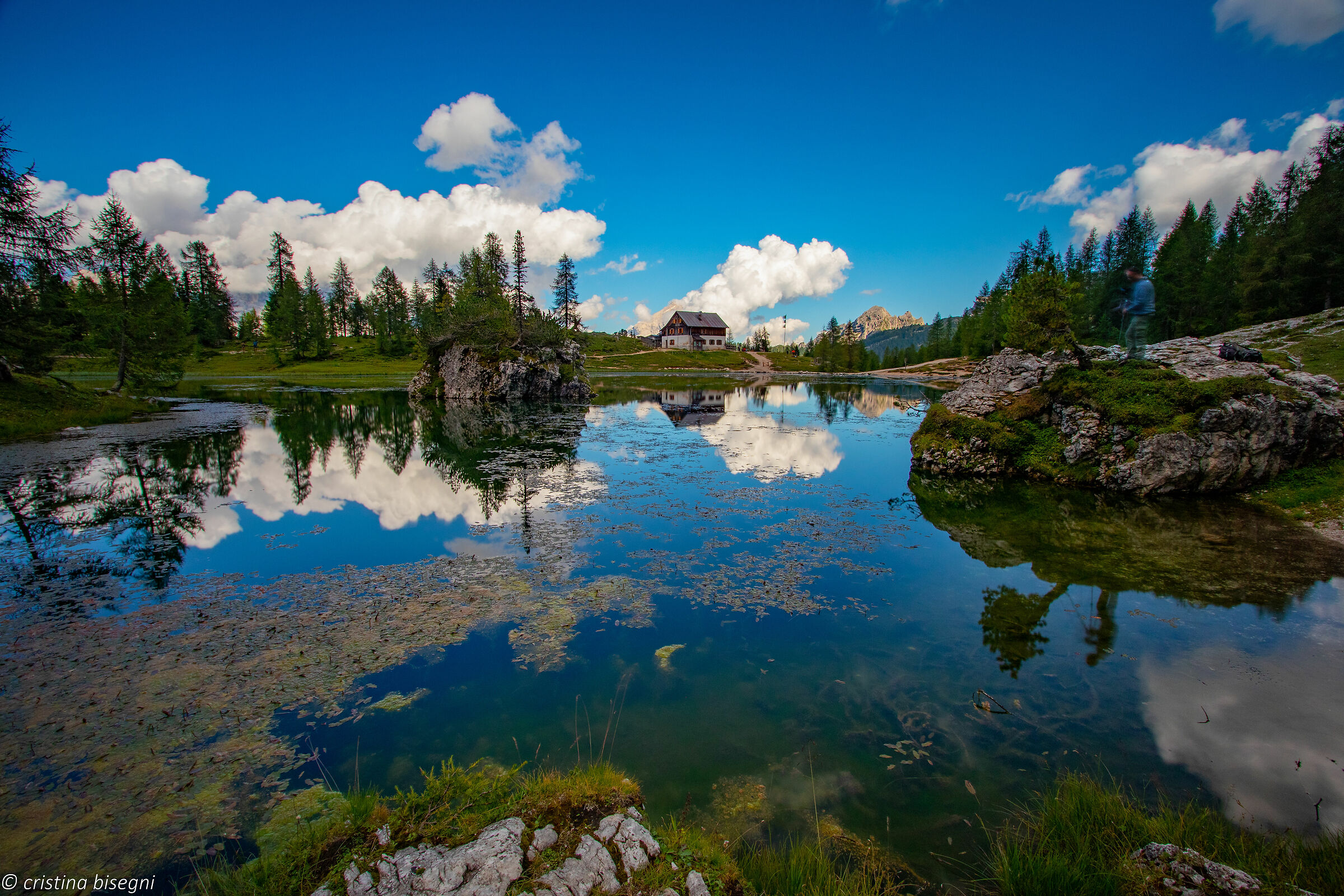 Lake Federa - Palmieri Refuge