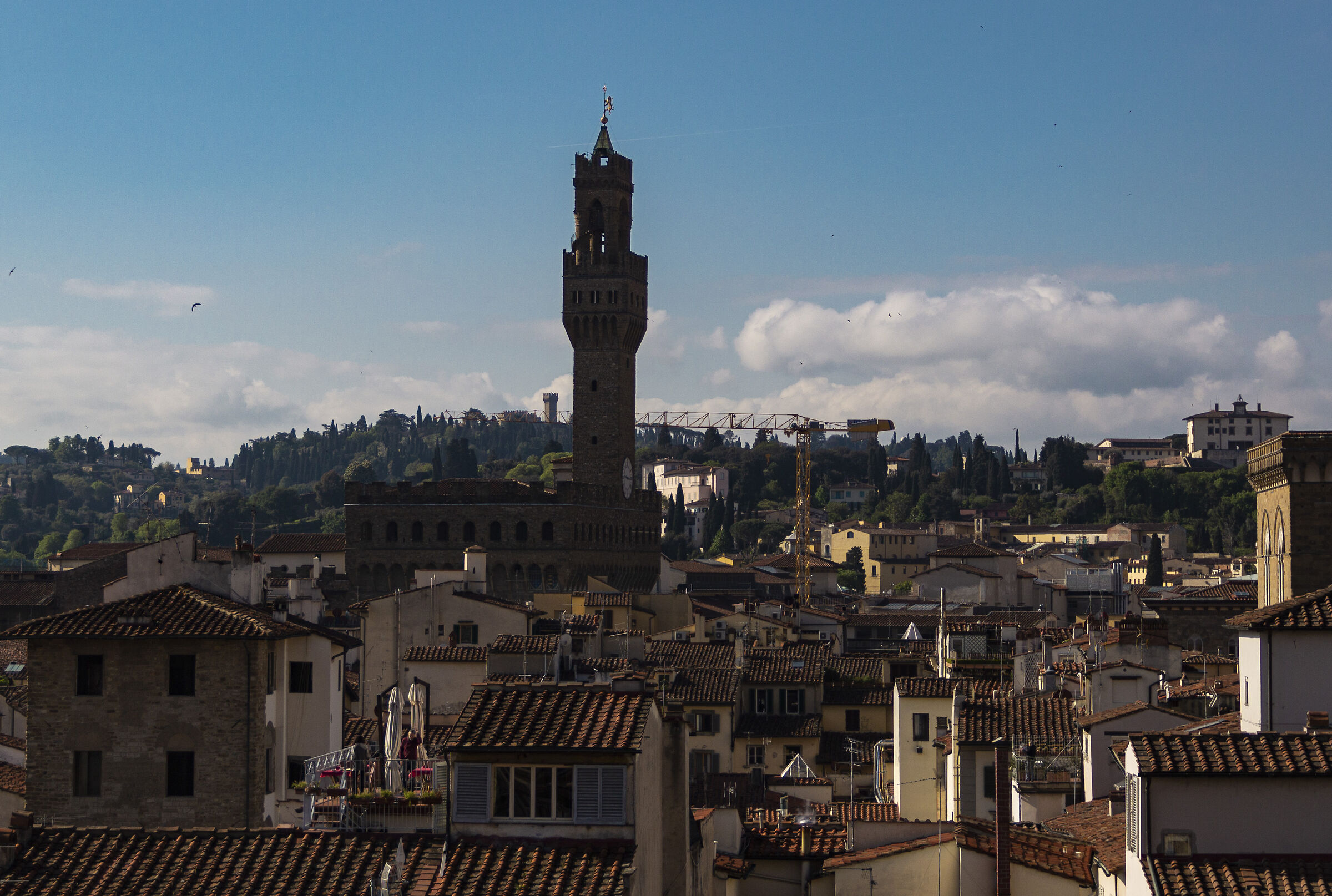 Firenze