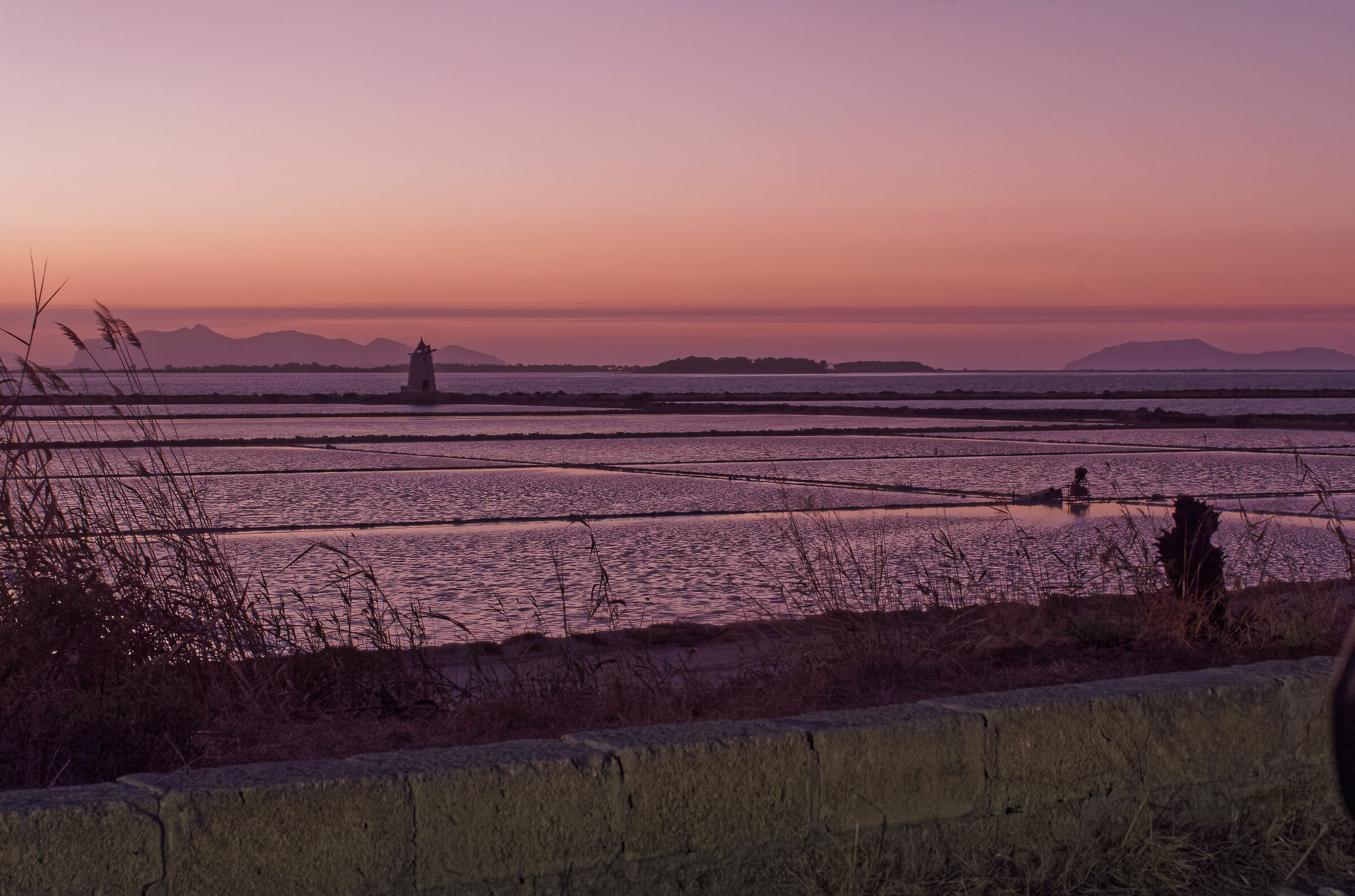 Sunset saline