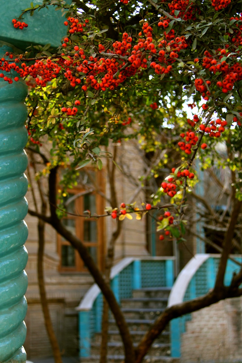 Professor Mohsen Moghadam House Museum