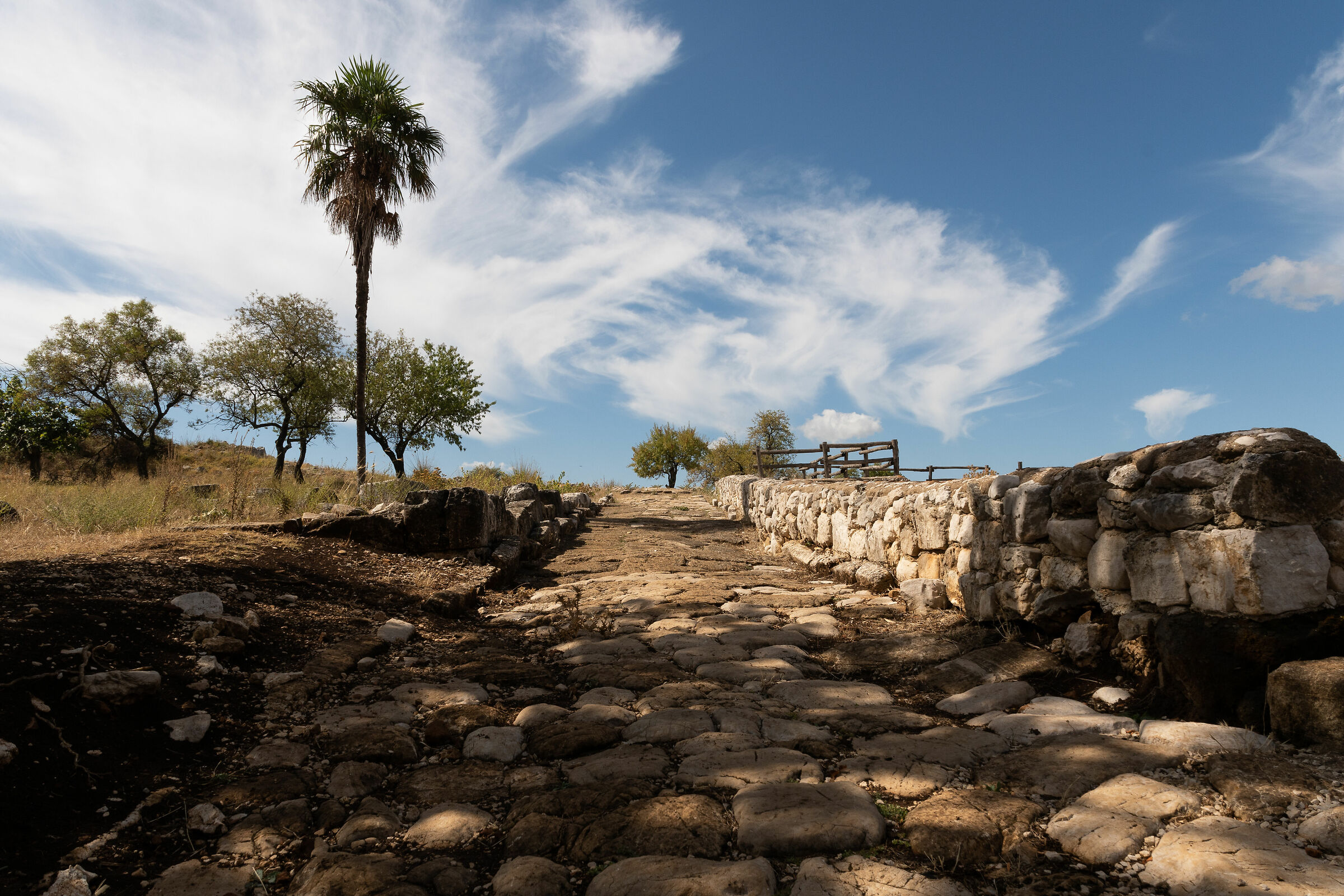 Ancient Norba (archaeological park)