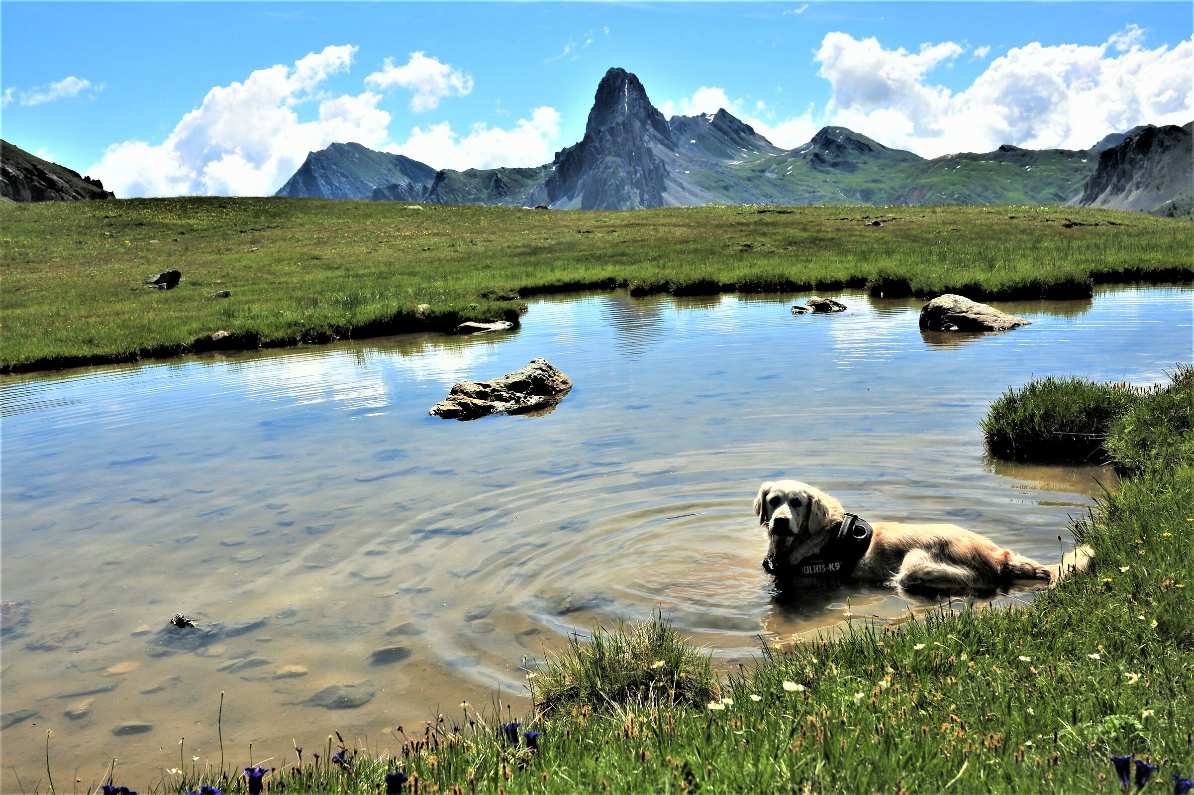 Papà un laghetto !!!