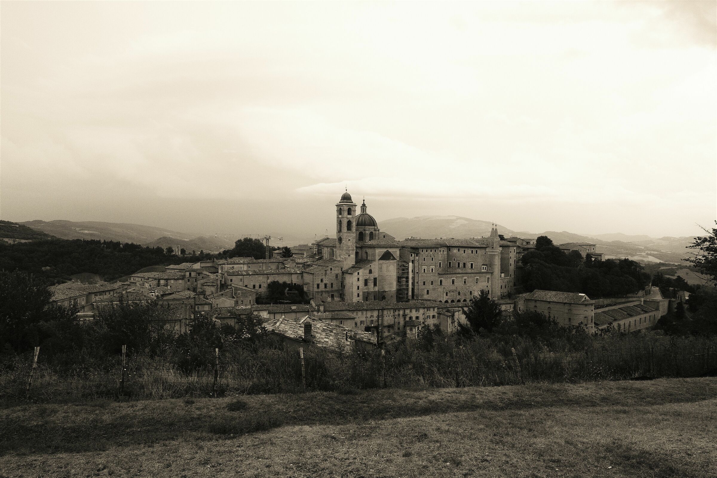 Urbino at your fingertips