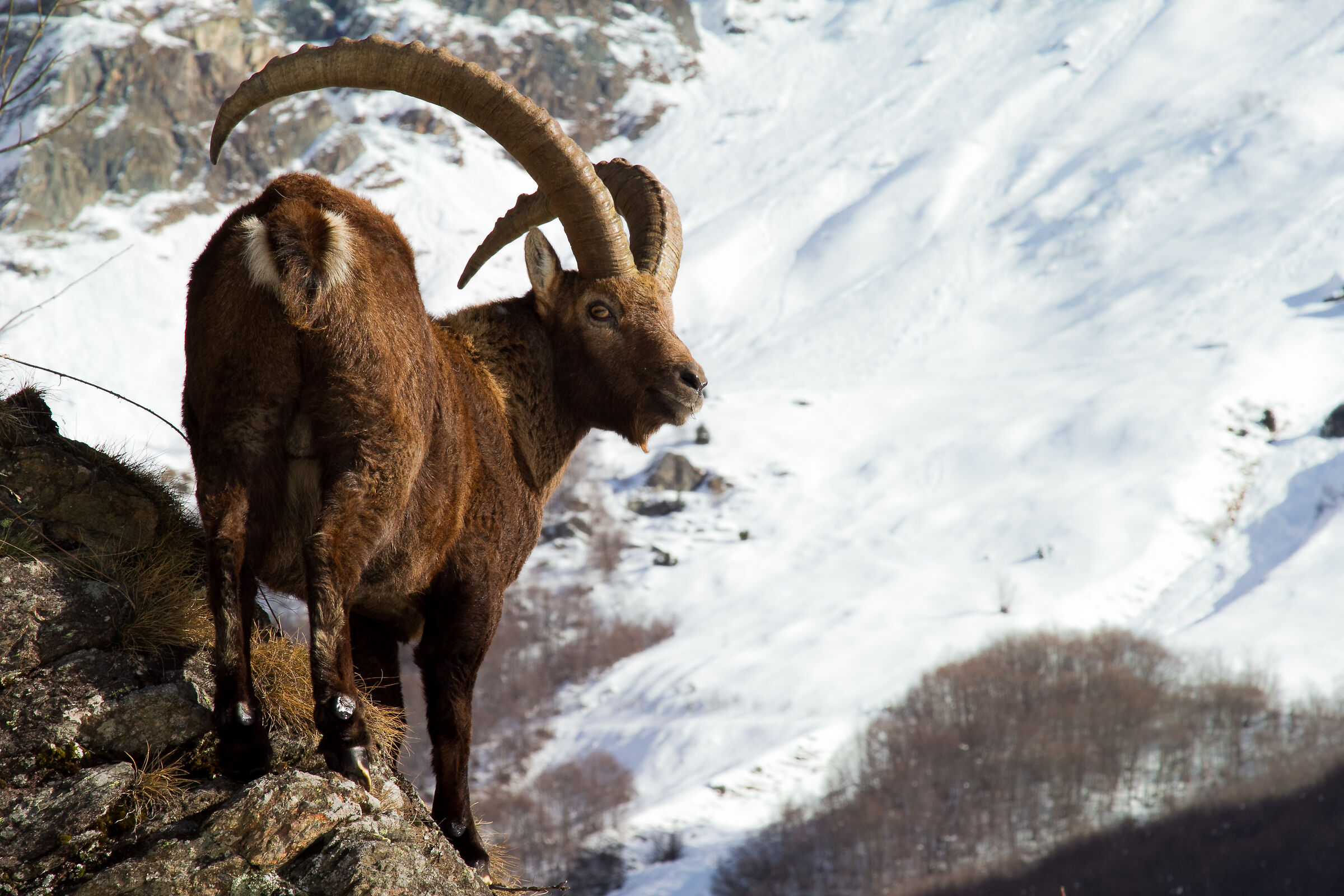 A spasso per i monti