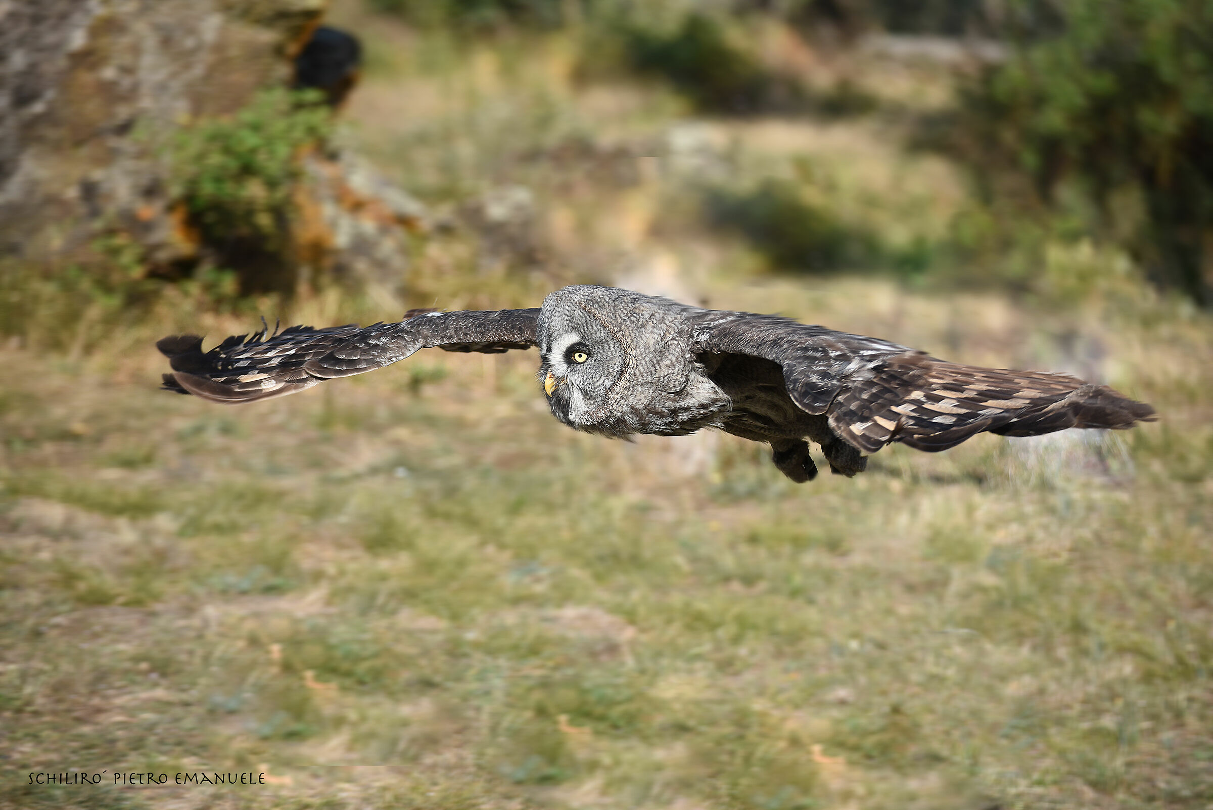 Happy birthday to my sensei