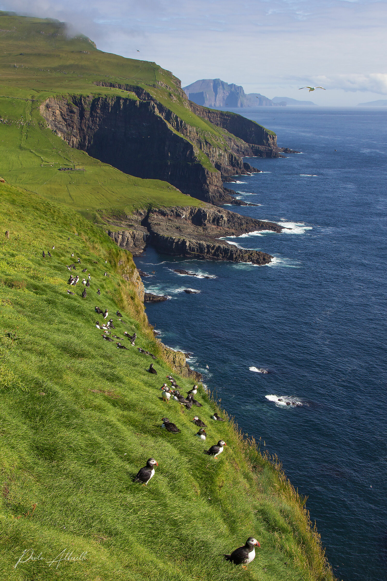 Scogliere di Mykines