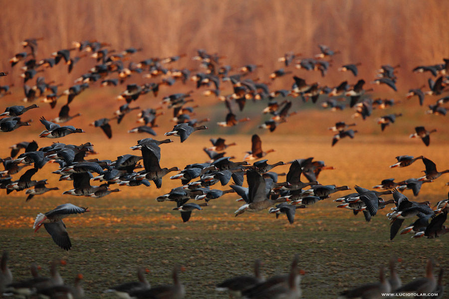 In partenza per il nord