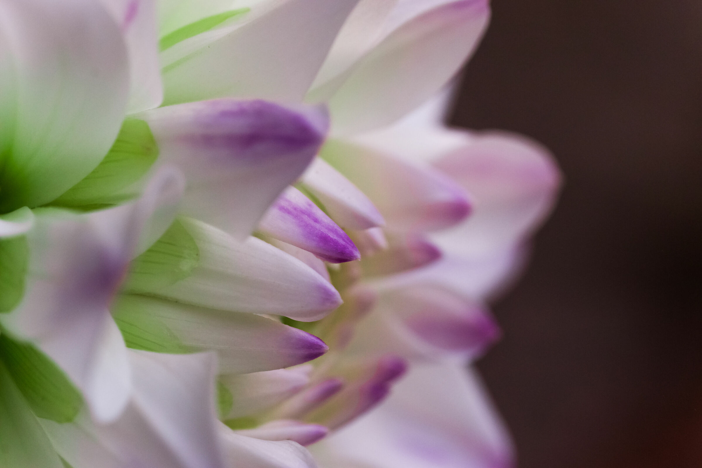 Pink and green