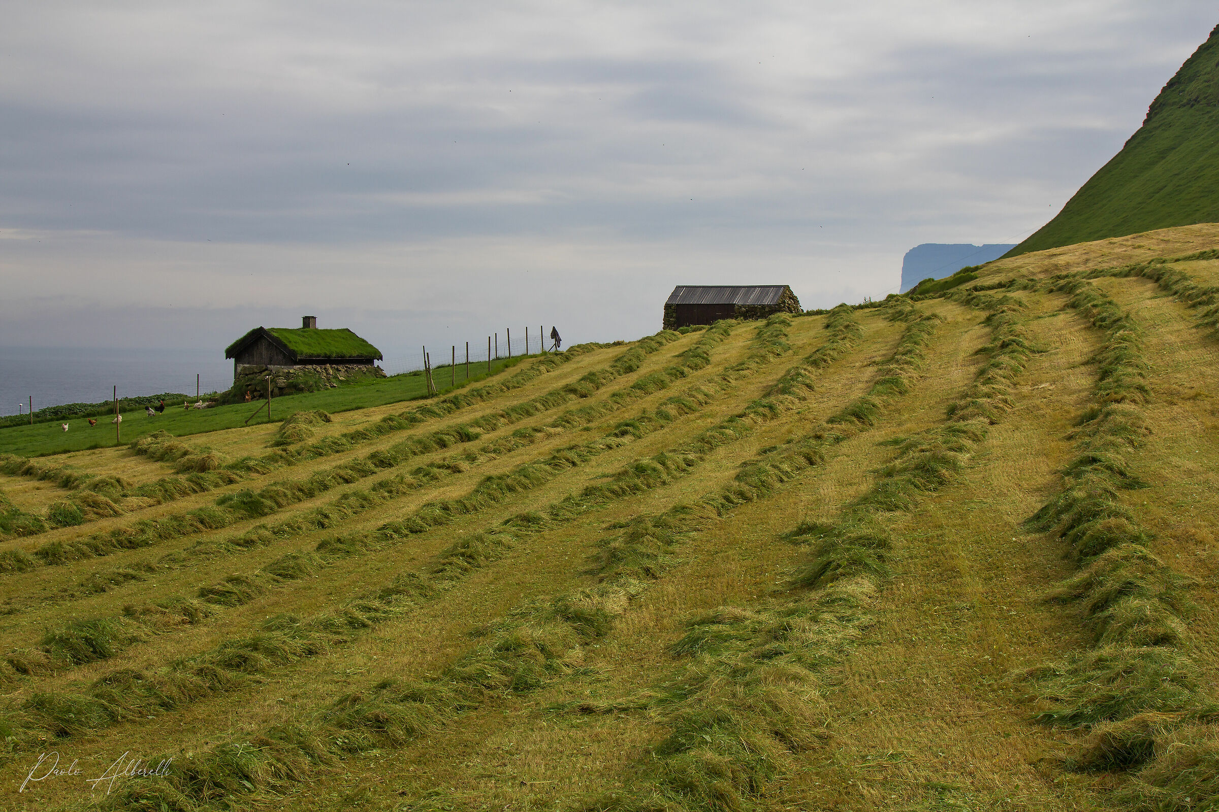 La raccolta del fieno