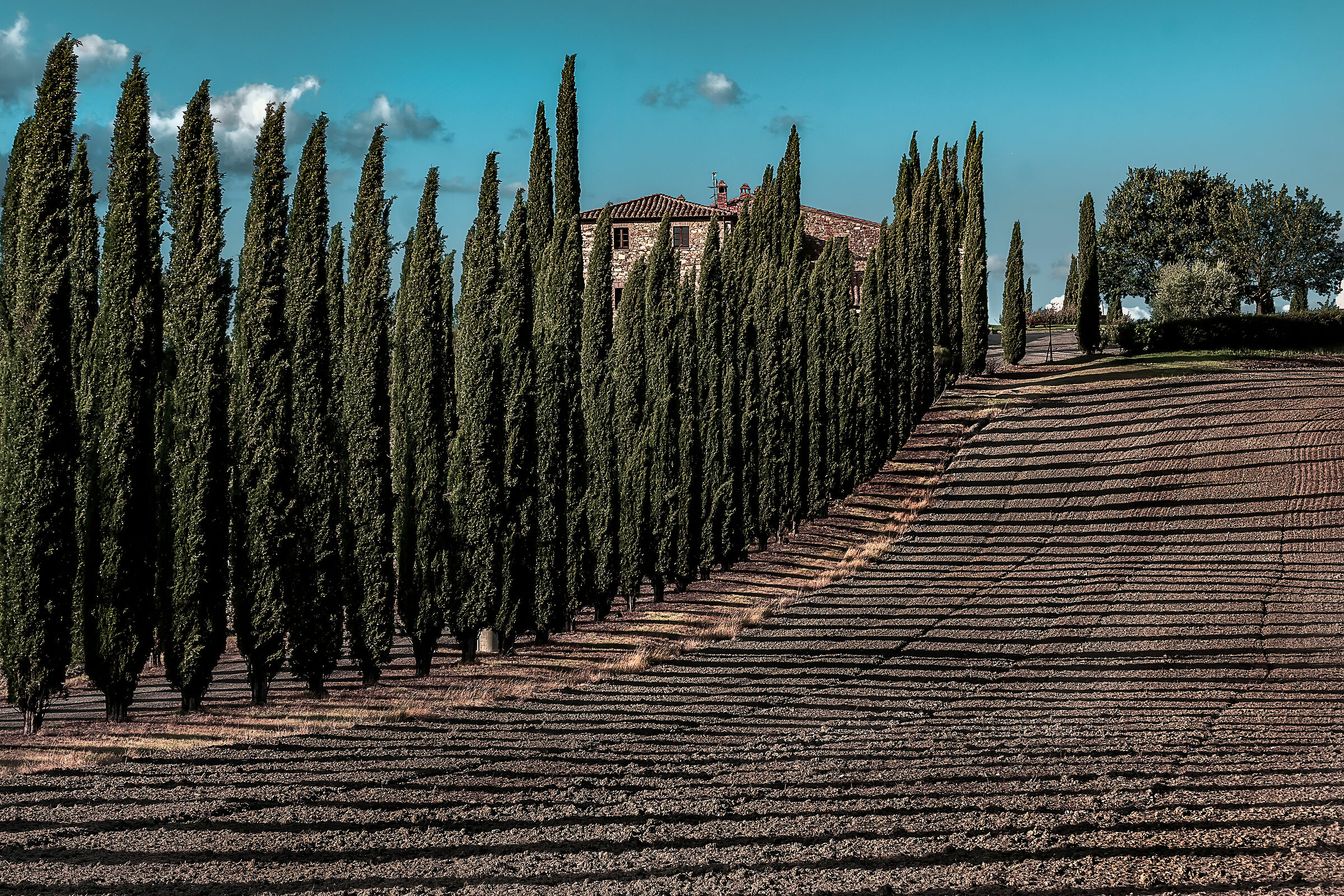 poggio covilli -val d'orcia