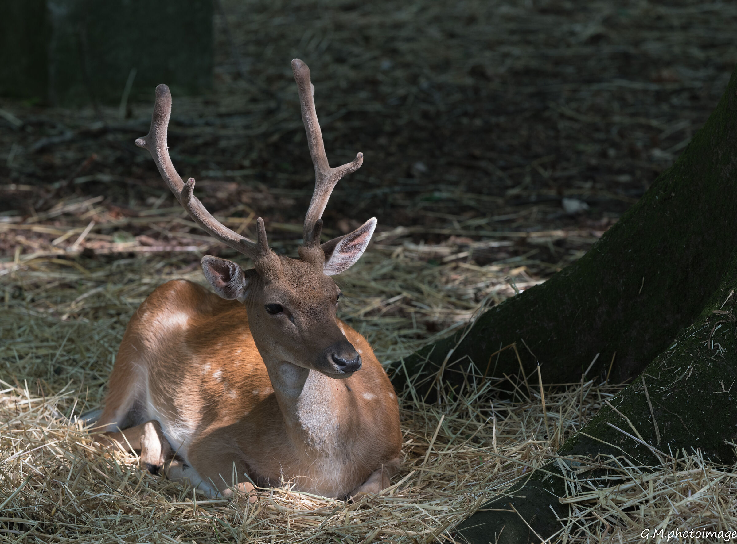 Pace e tranquillità