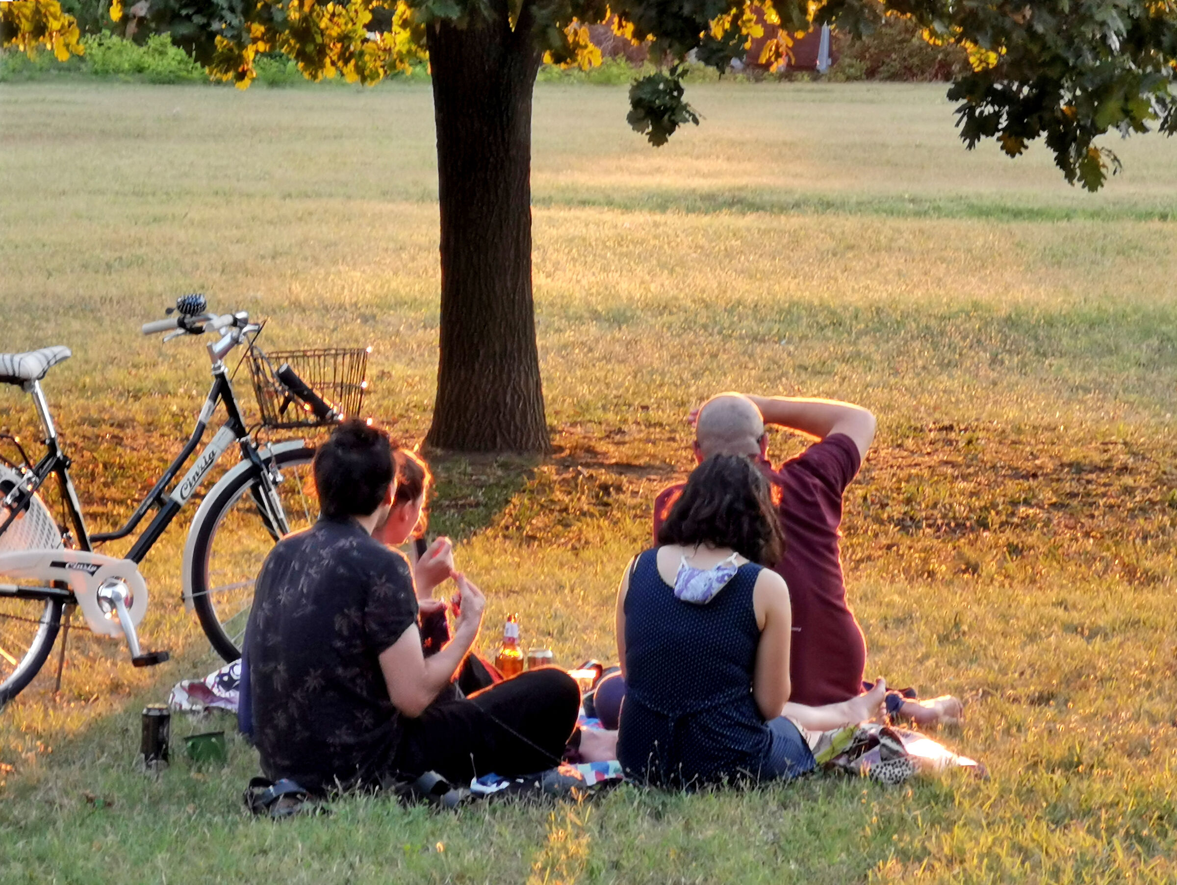 picnic at sunset