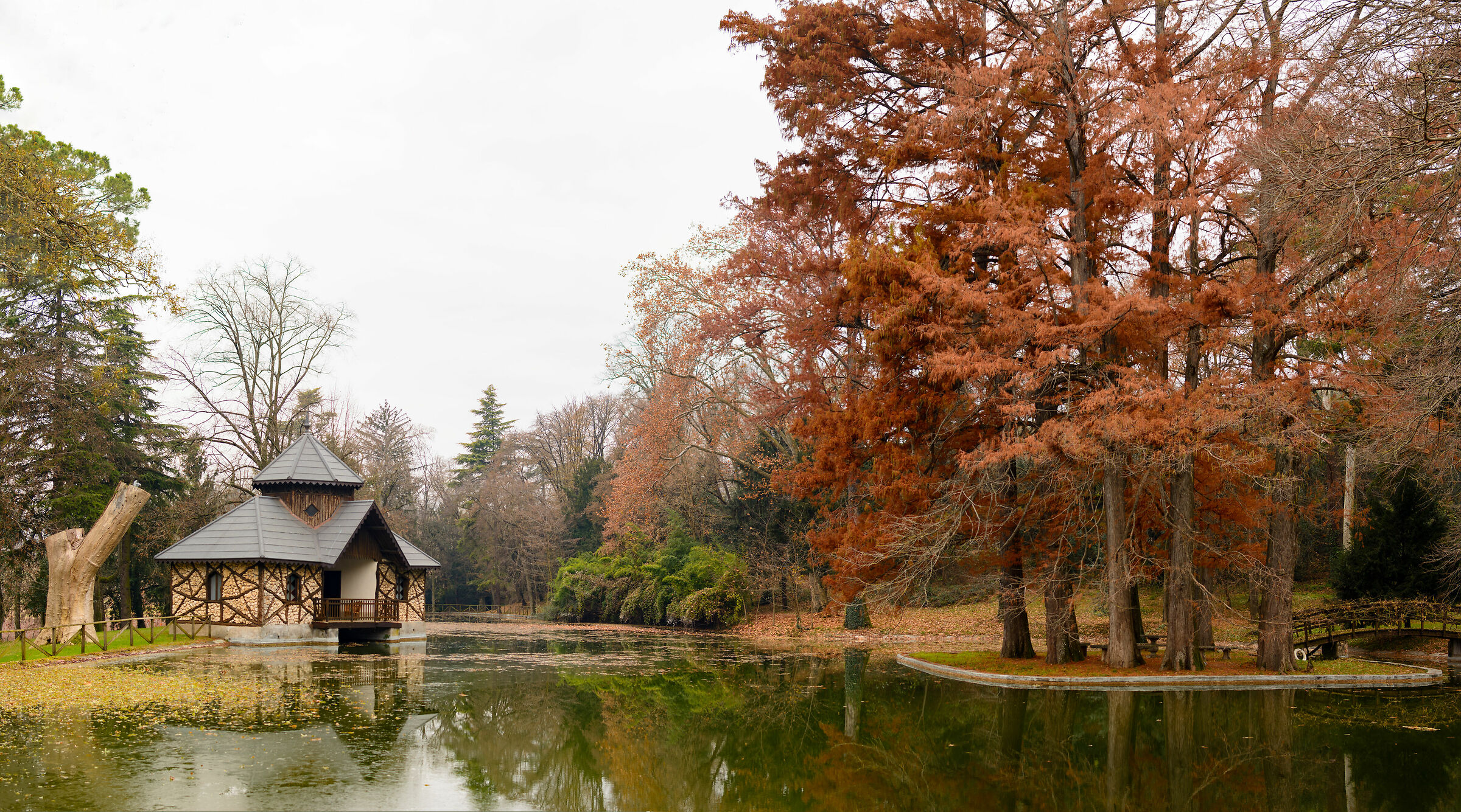 DSC_0006-(12)-pp-resize