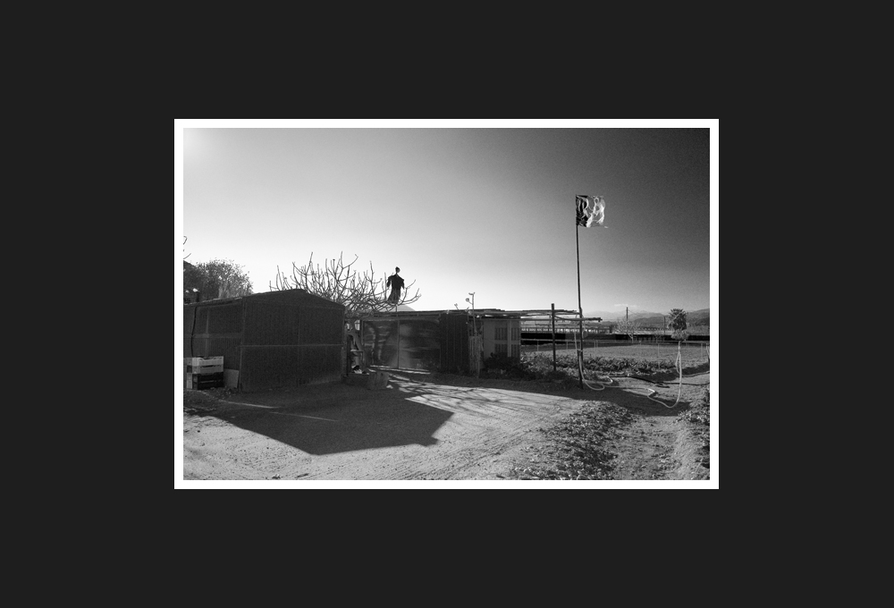 spaventapasseri, 2017