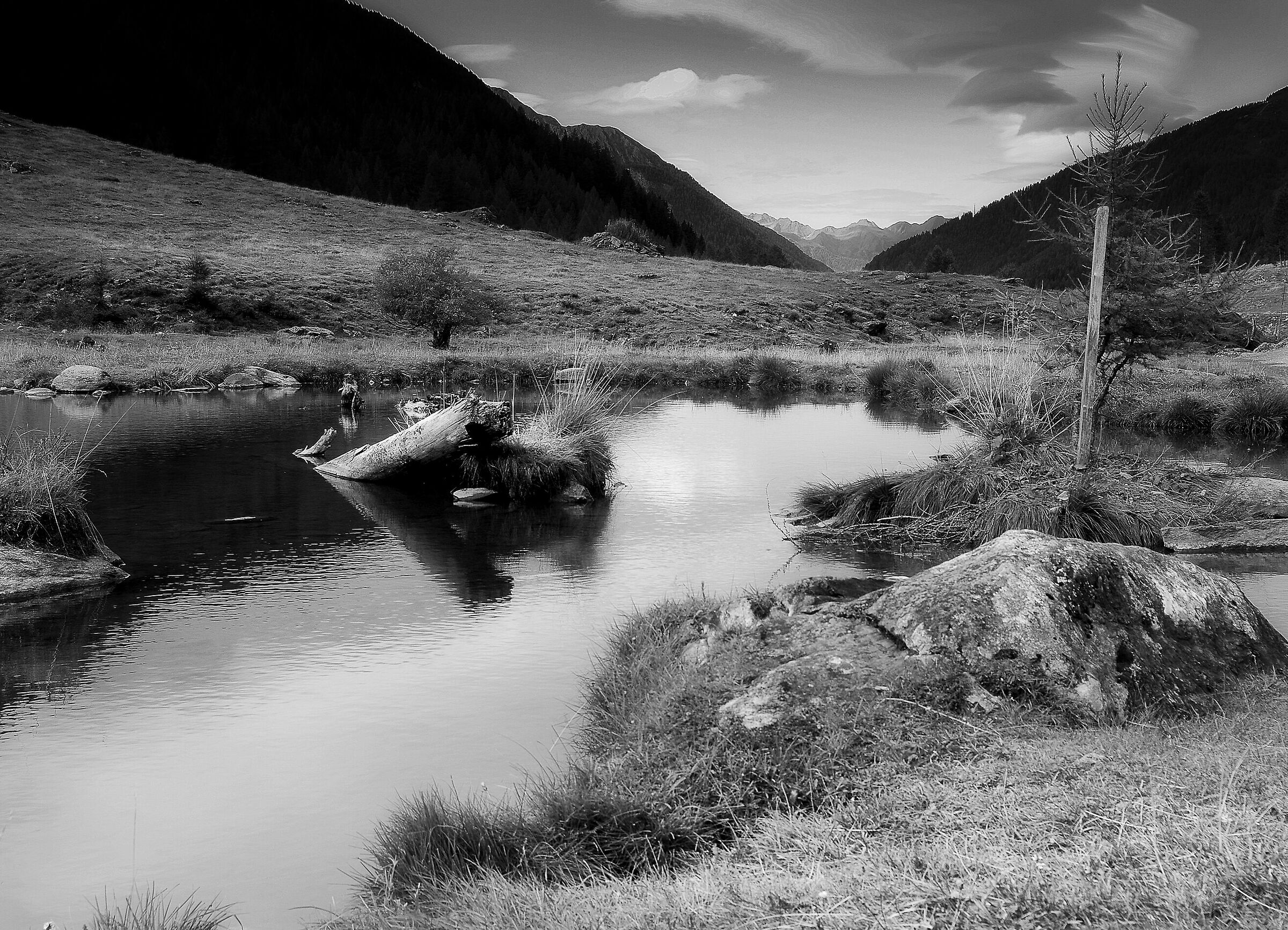Pond