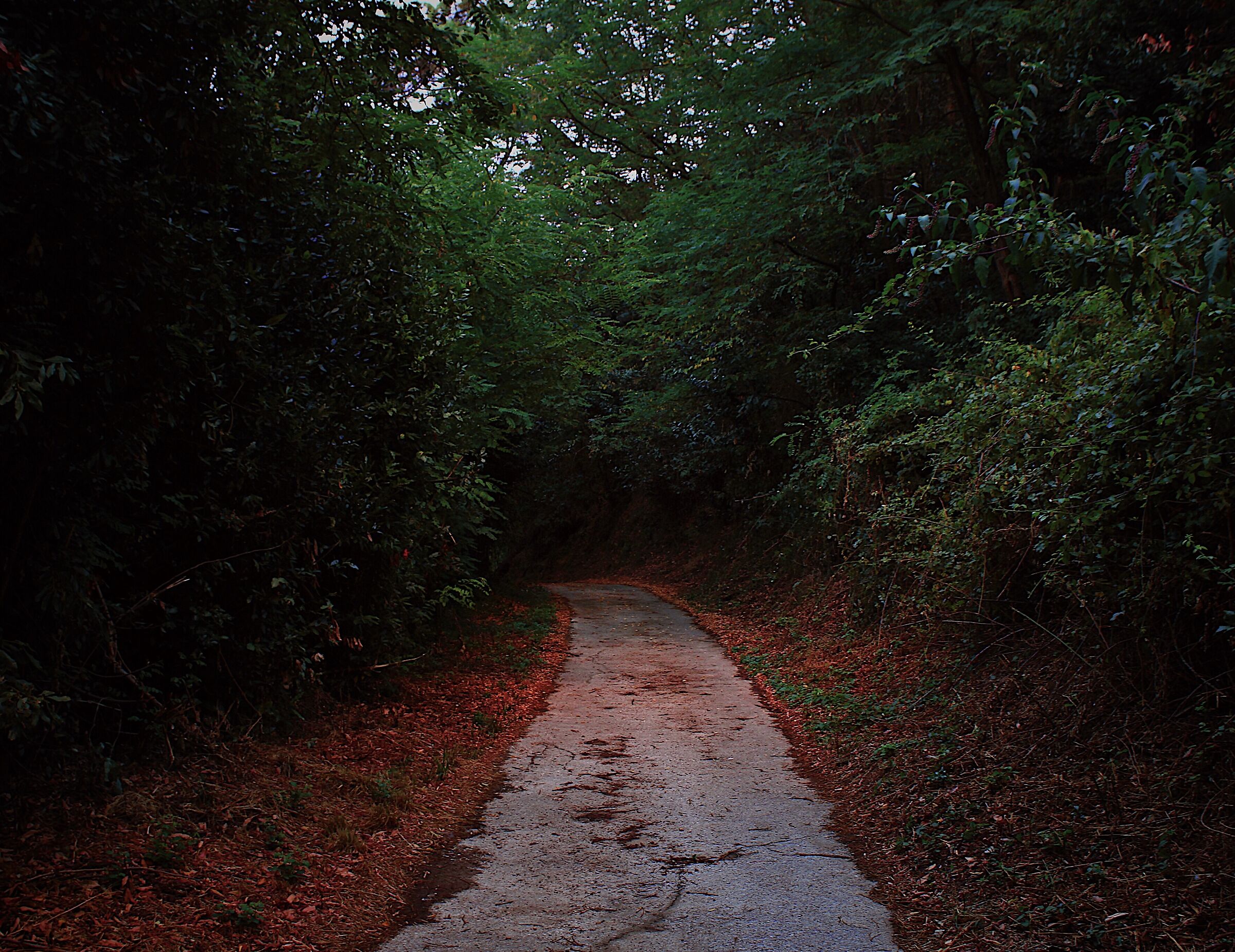 Nature