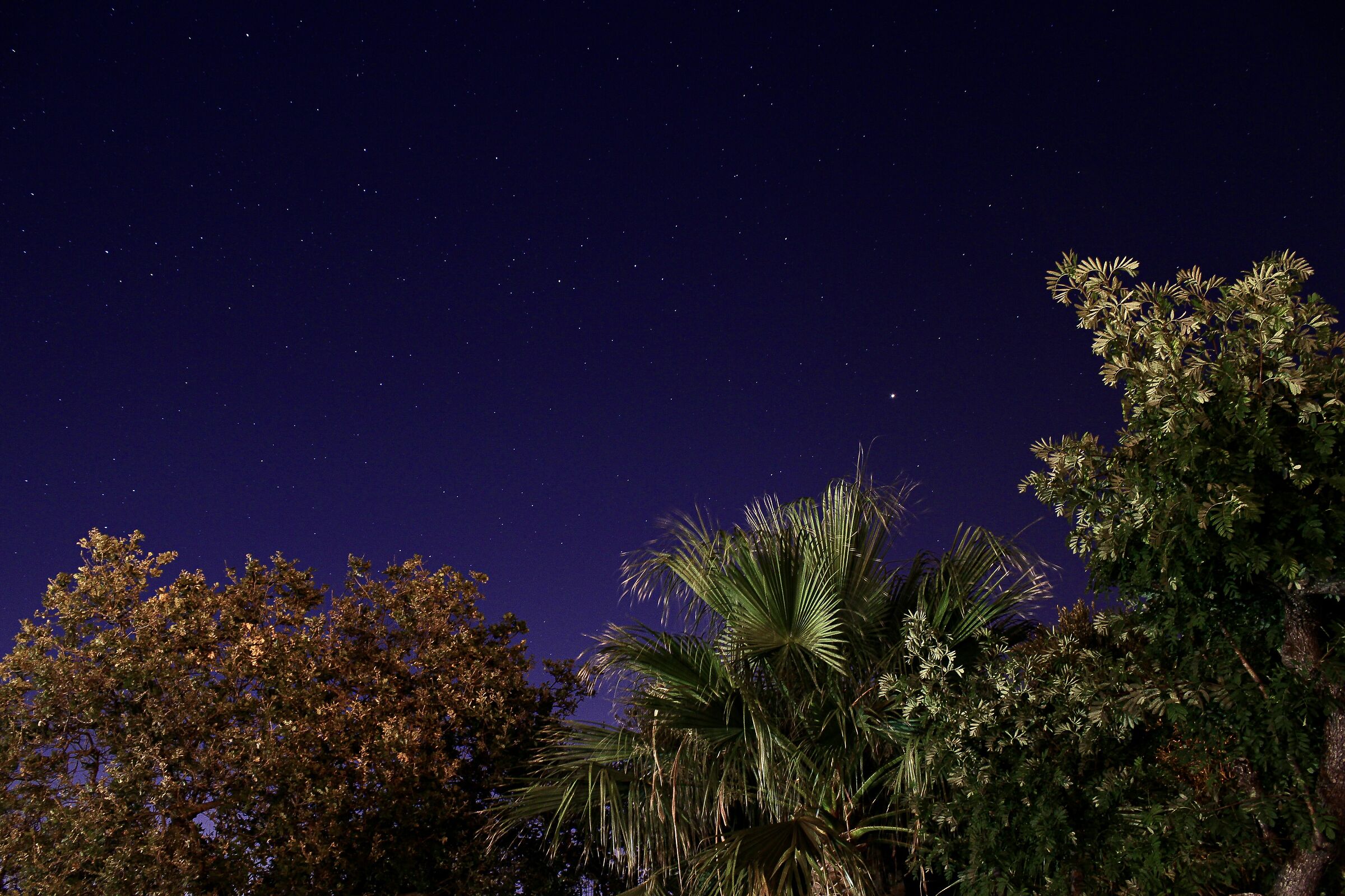 night