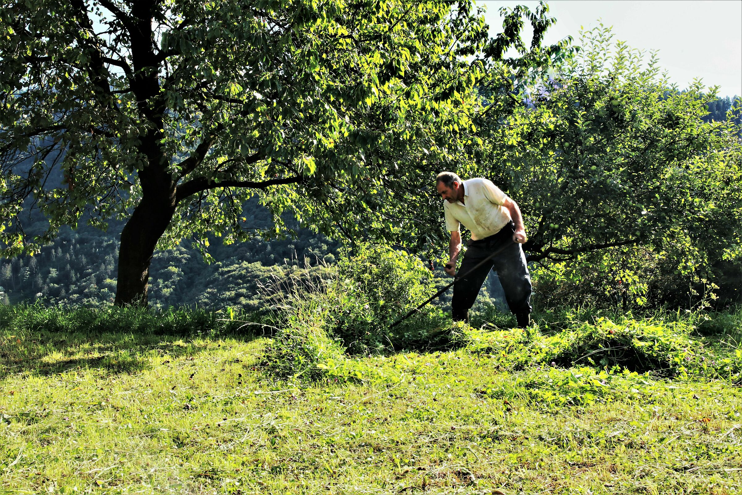 "Like it used to be"