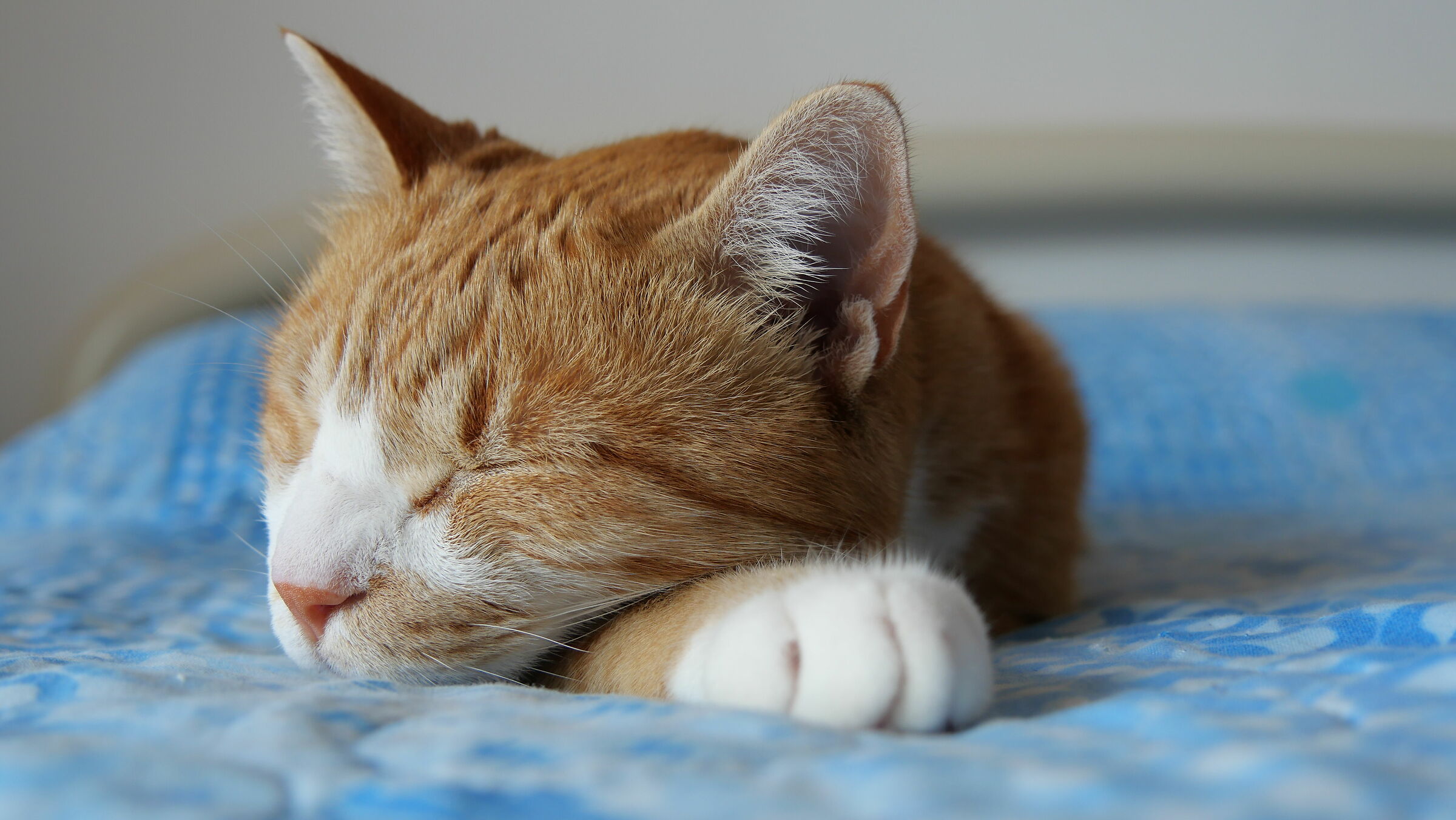 Non disturbatemi che sto facendo il mio