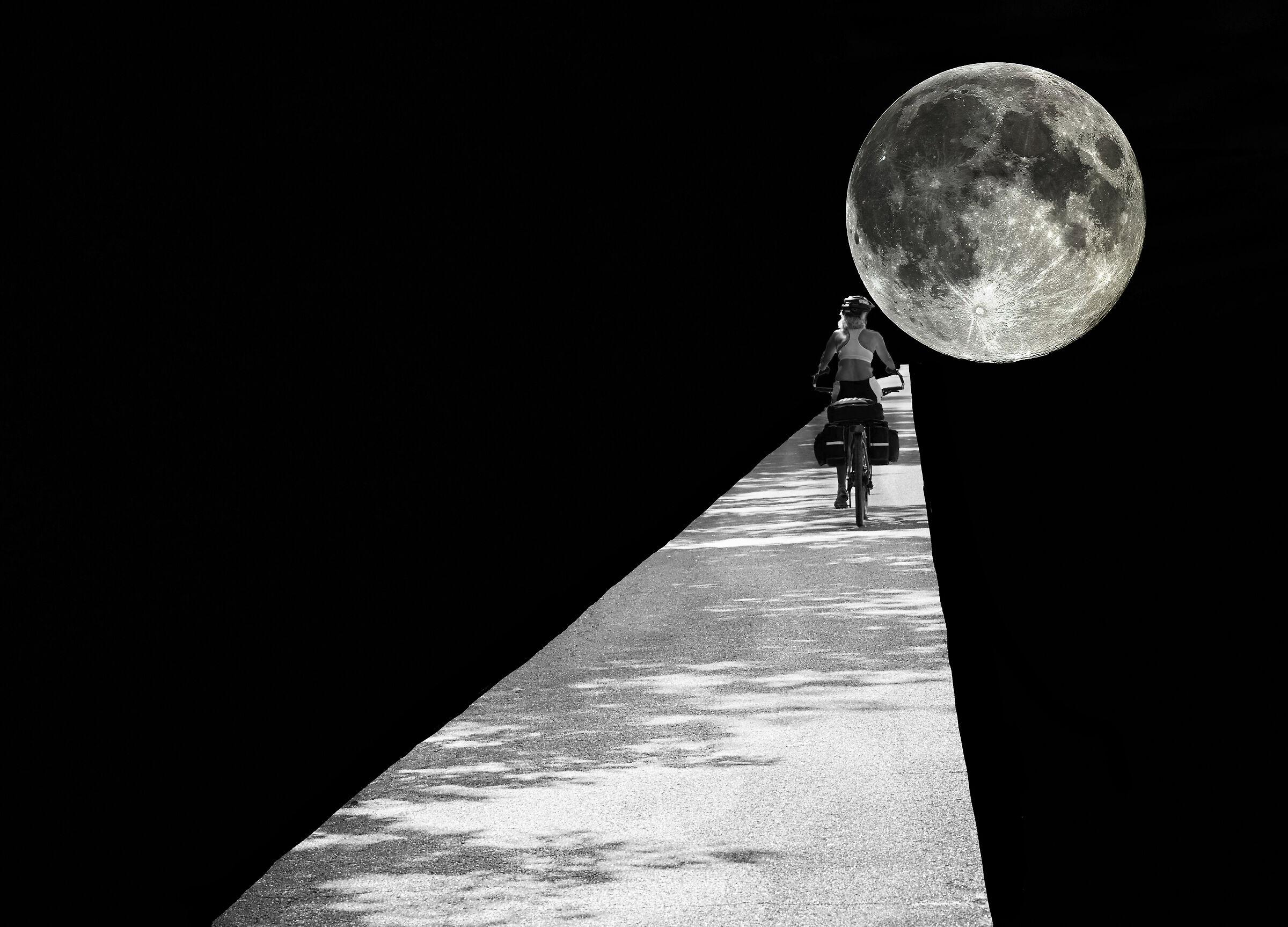 In search of a better world