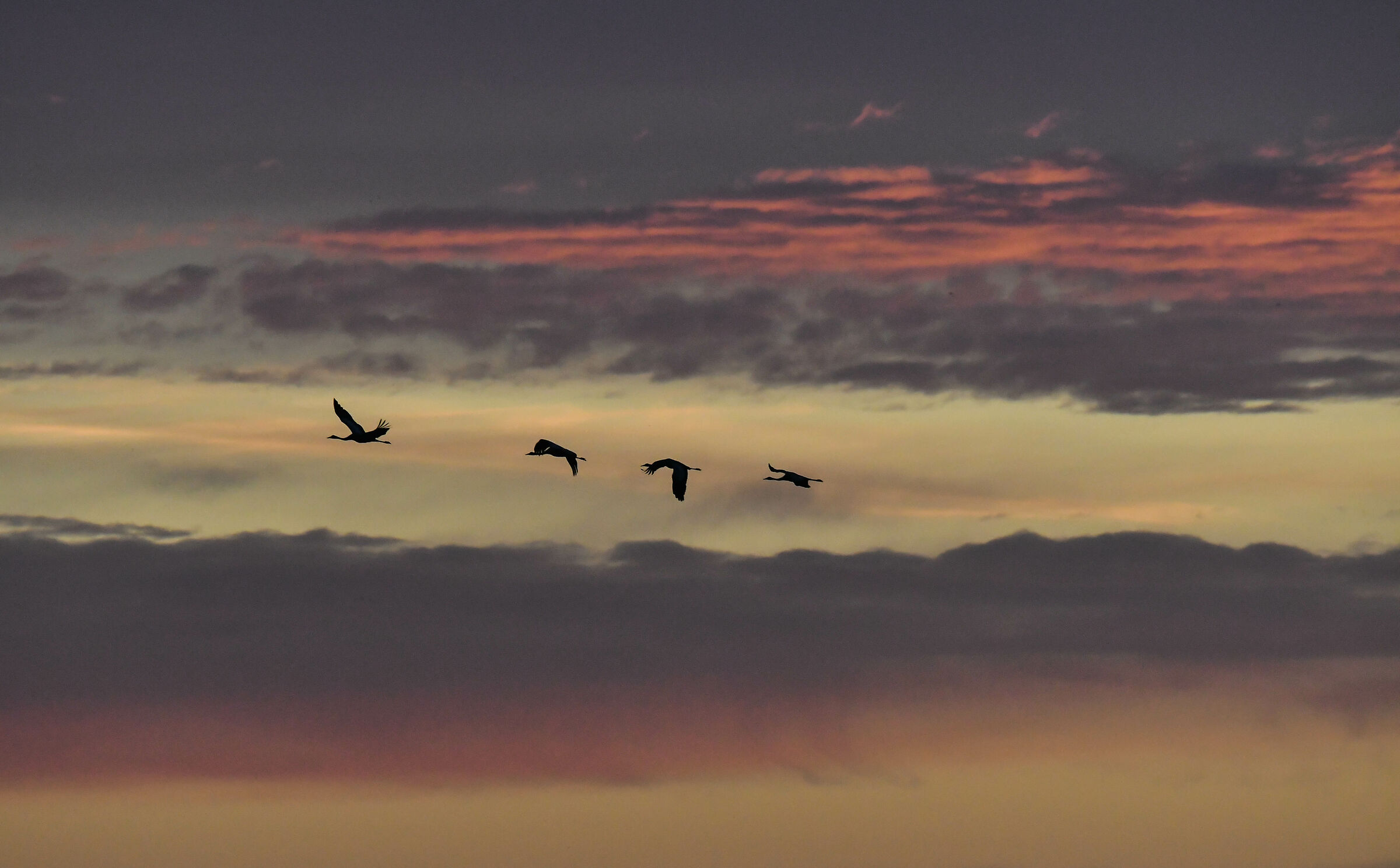 La famosa valle all'alba