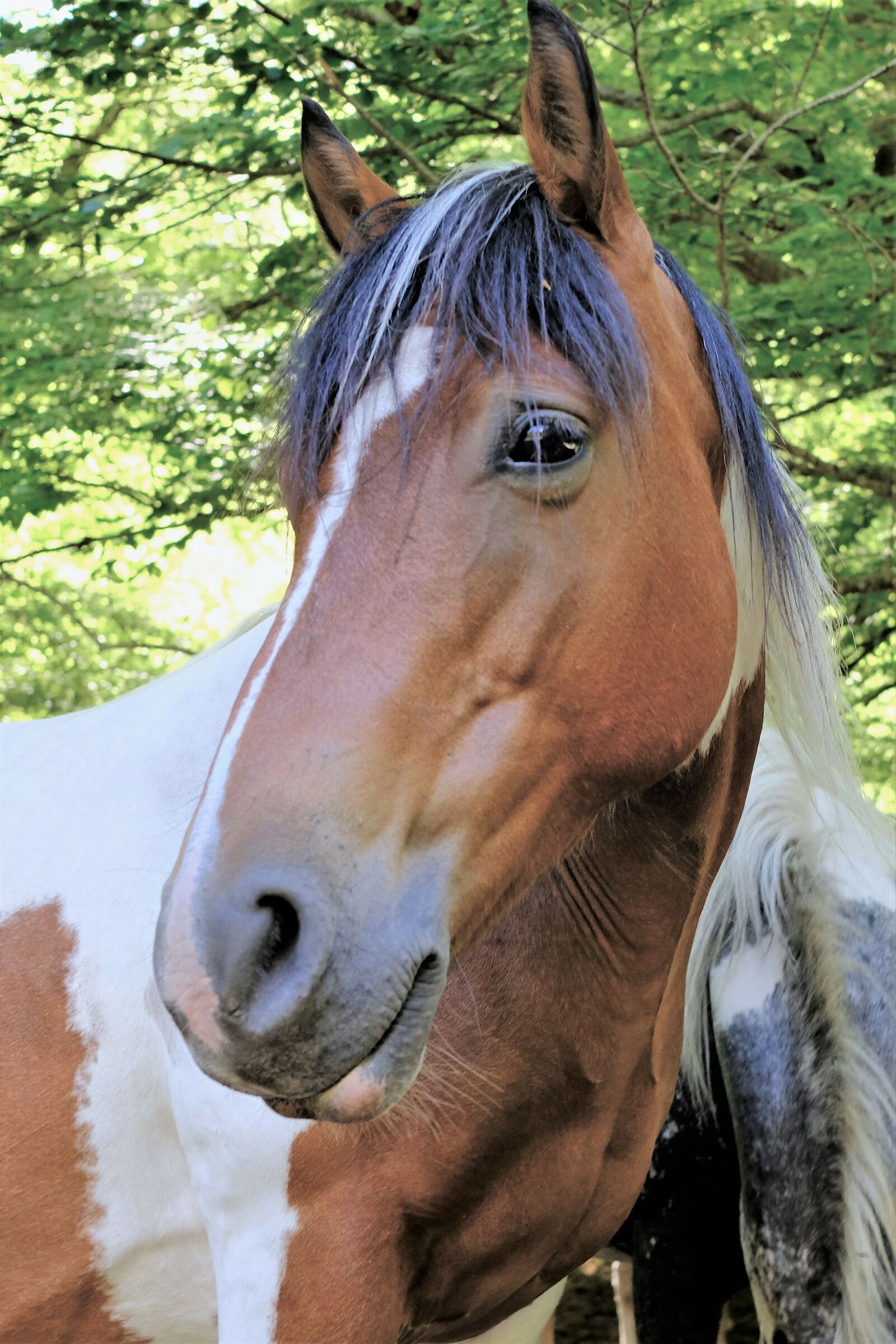 Say cheese...