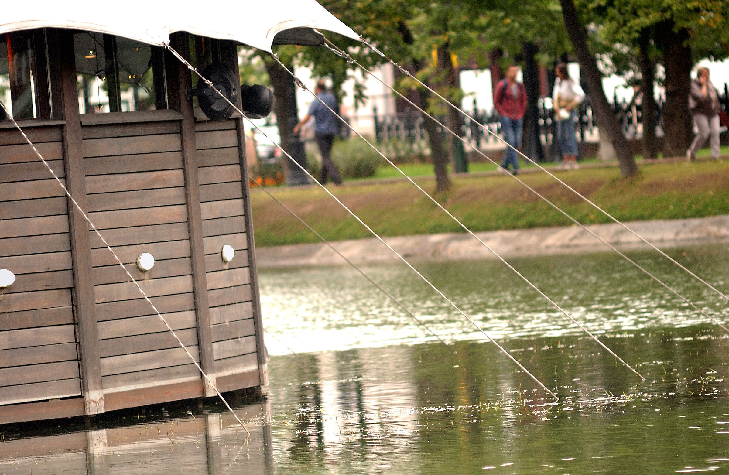 Picturesque a piedi su un Clean Ponds Boulevard.