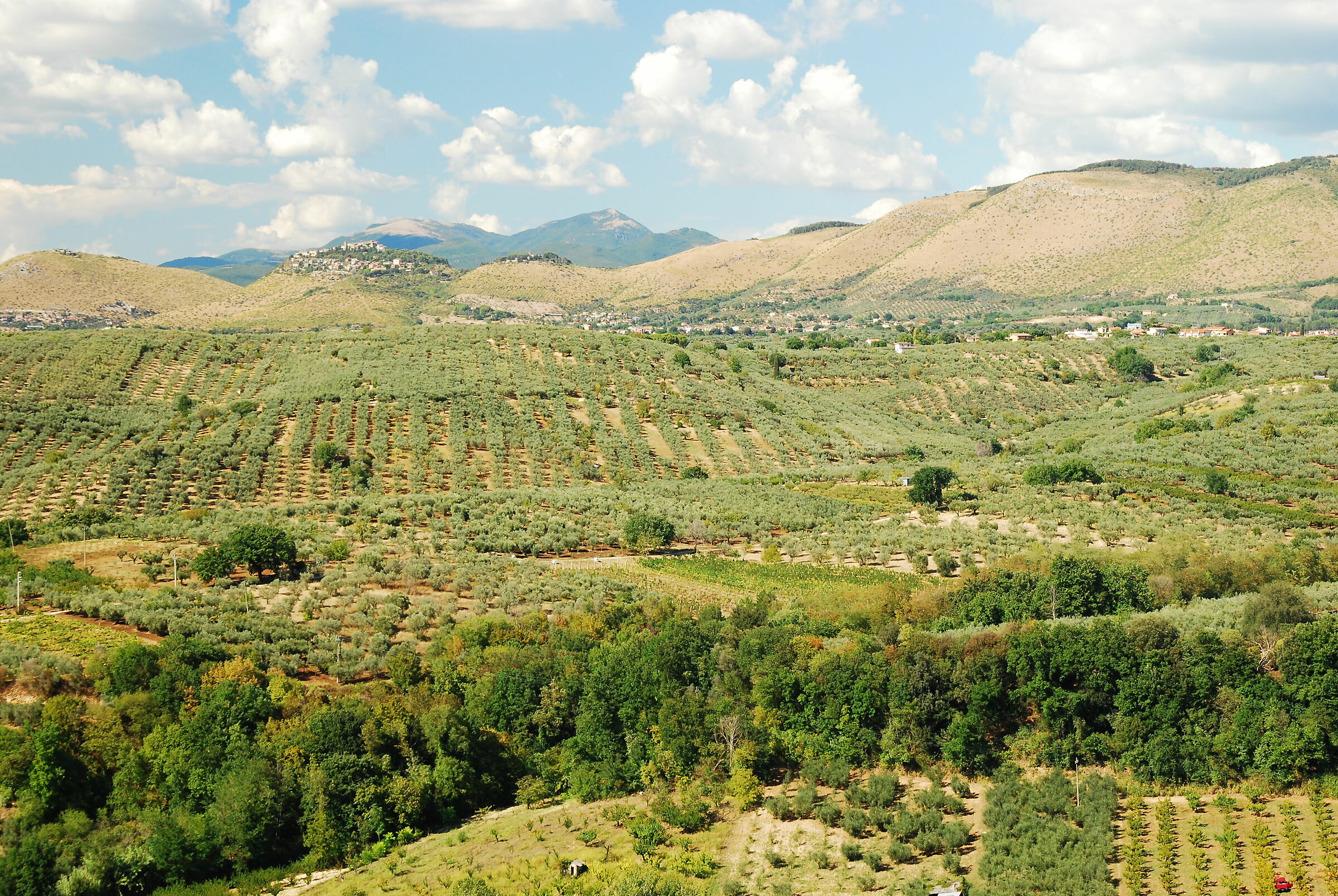 The hills of Sabina...