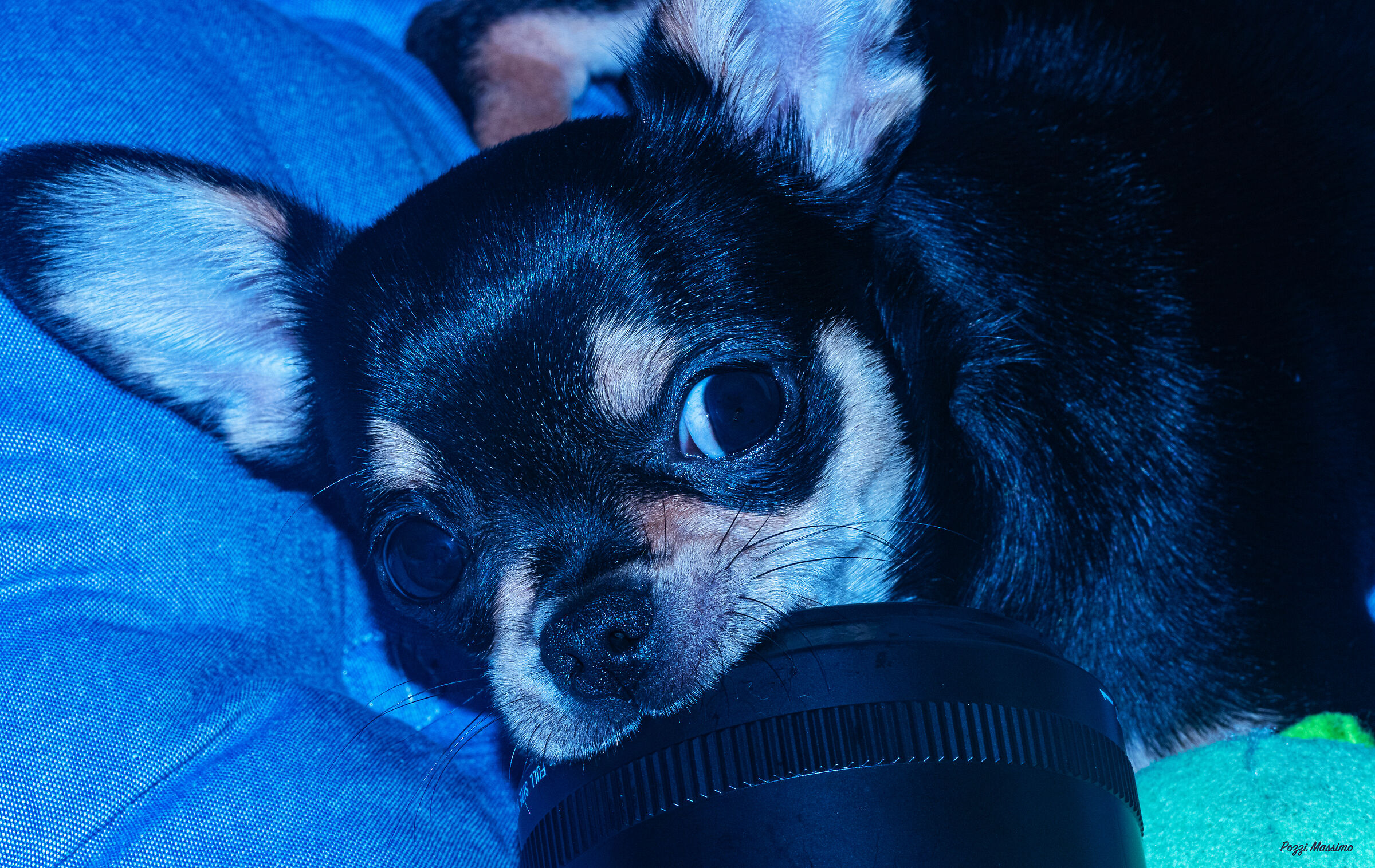 per ora mi accontento del paraluce