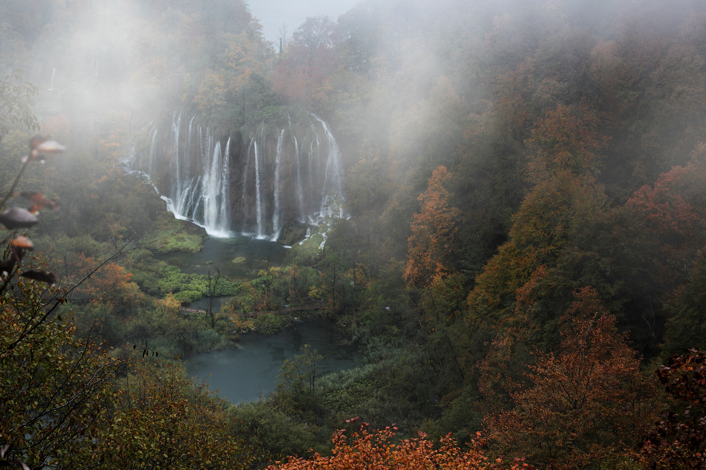 Misty day - Laghi di Plitvice