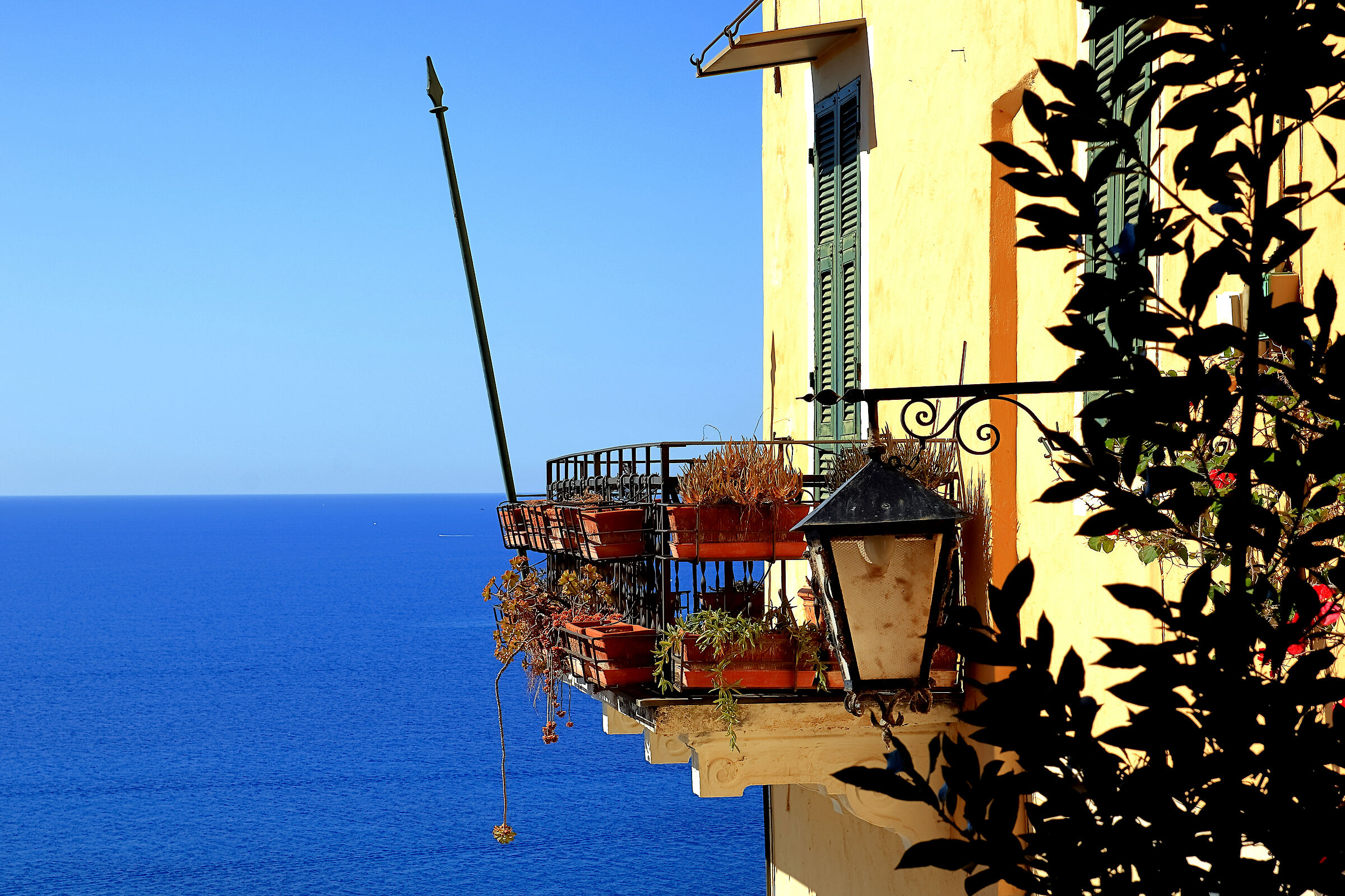Sapore di .... mare a Cervo in Liguria