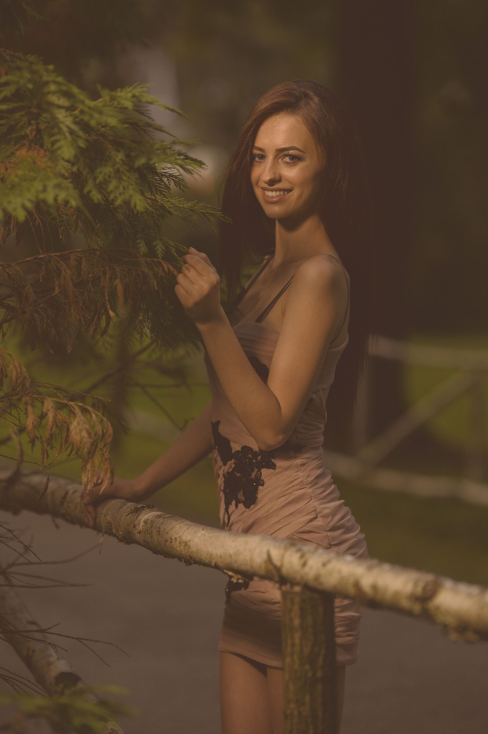 Untitled Photo