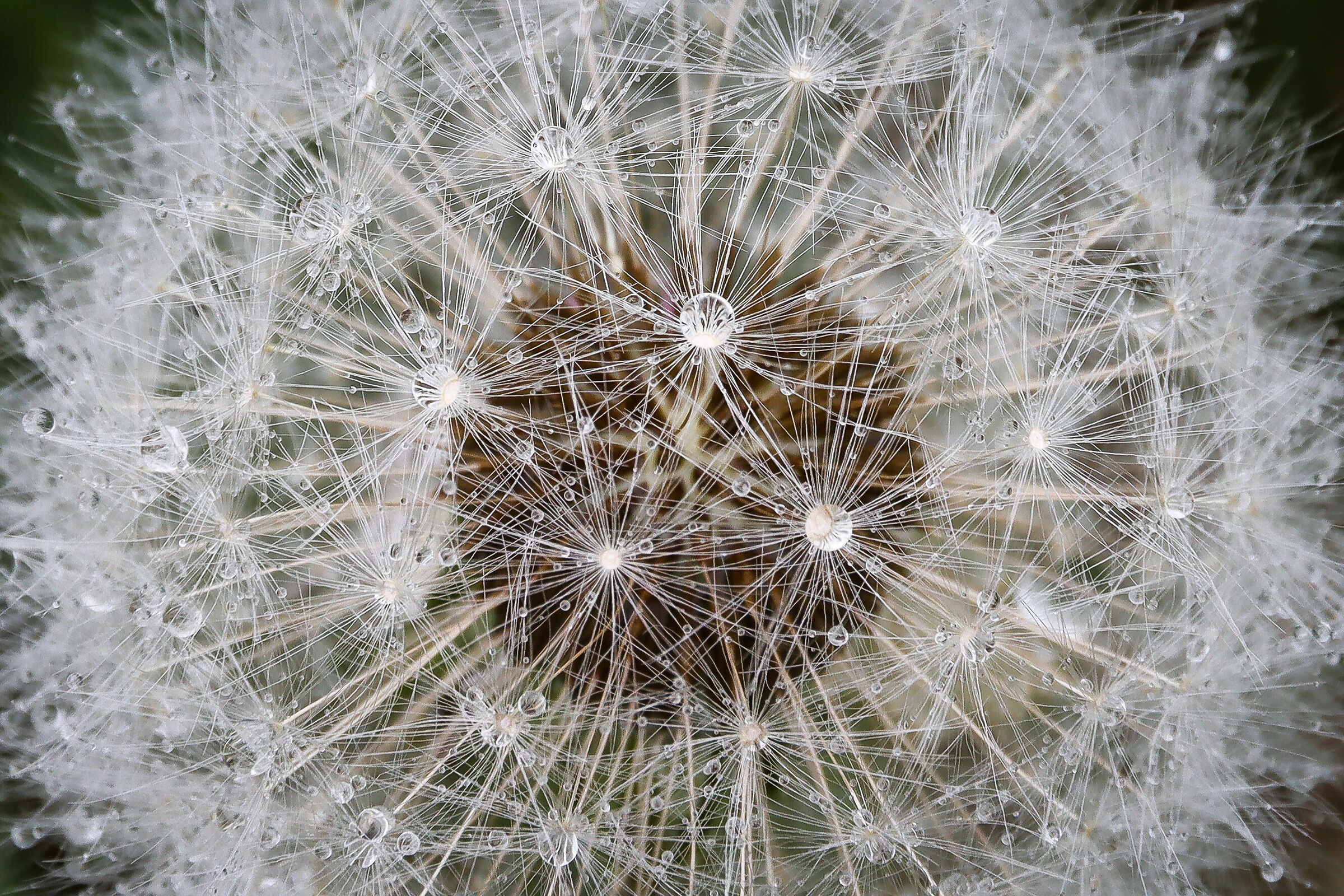 Untitled Photo