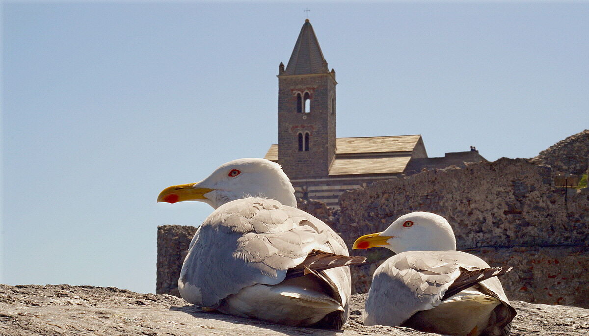 Doppia coppia a San Pietro!
