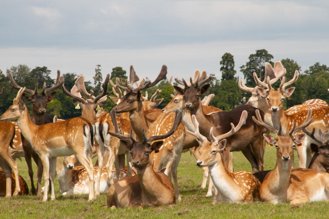 all posing in Dublin