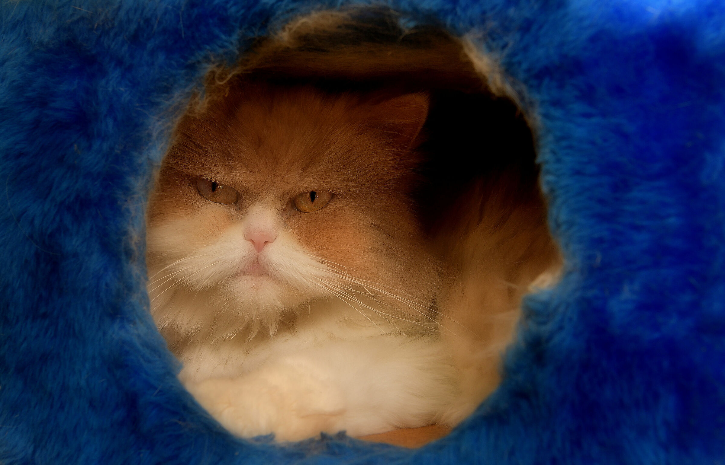 And I look at the world from a porthole....