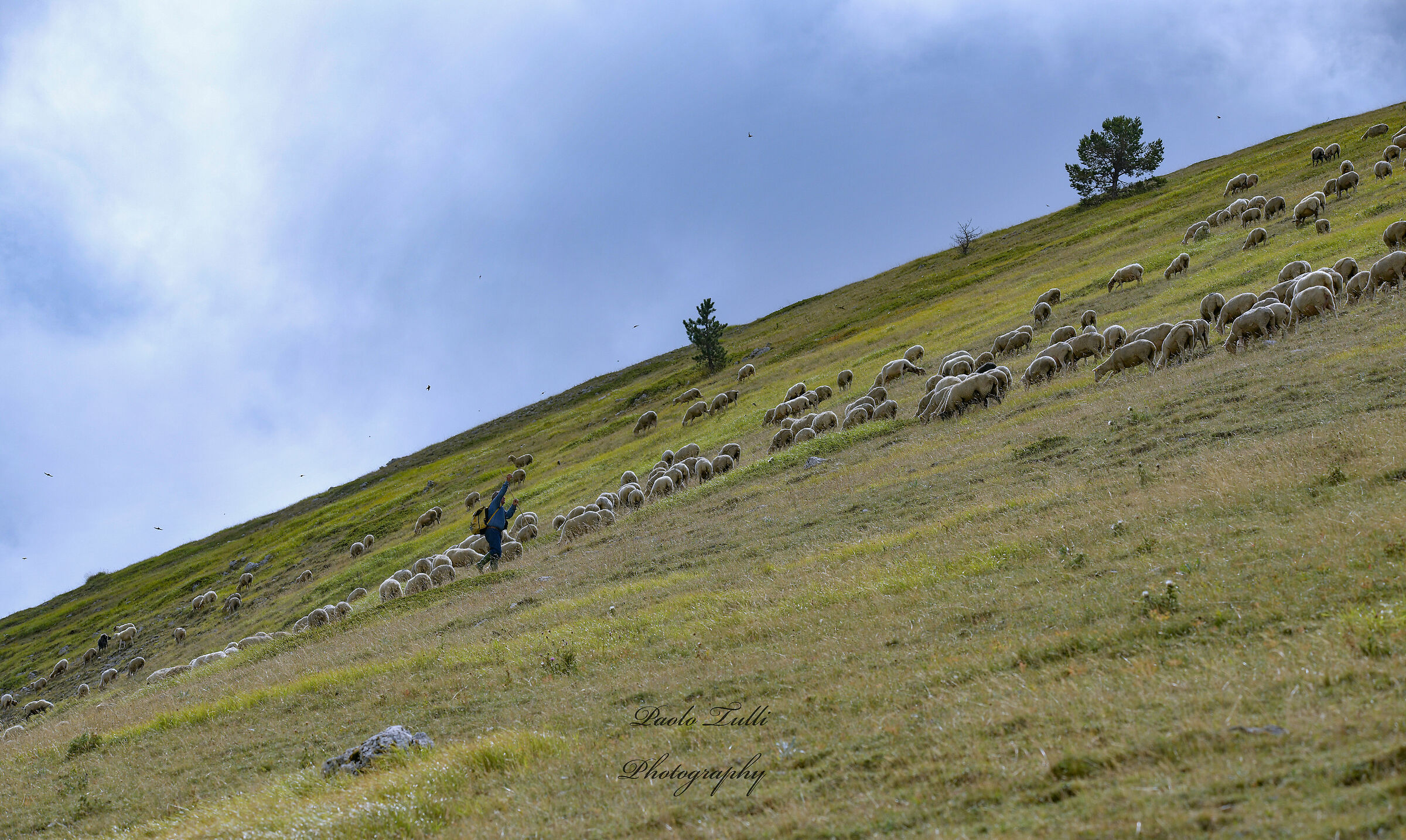 Pastures on the Grand Sasso.