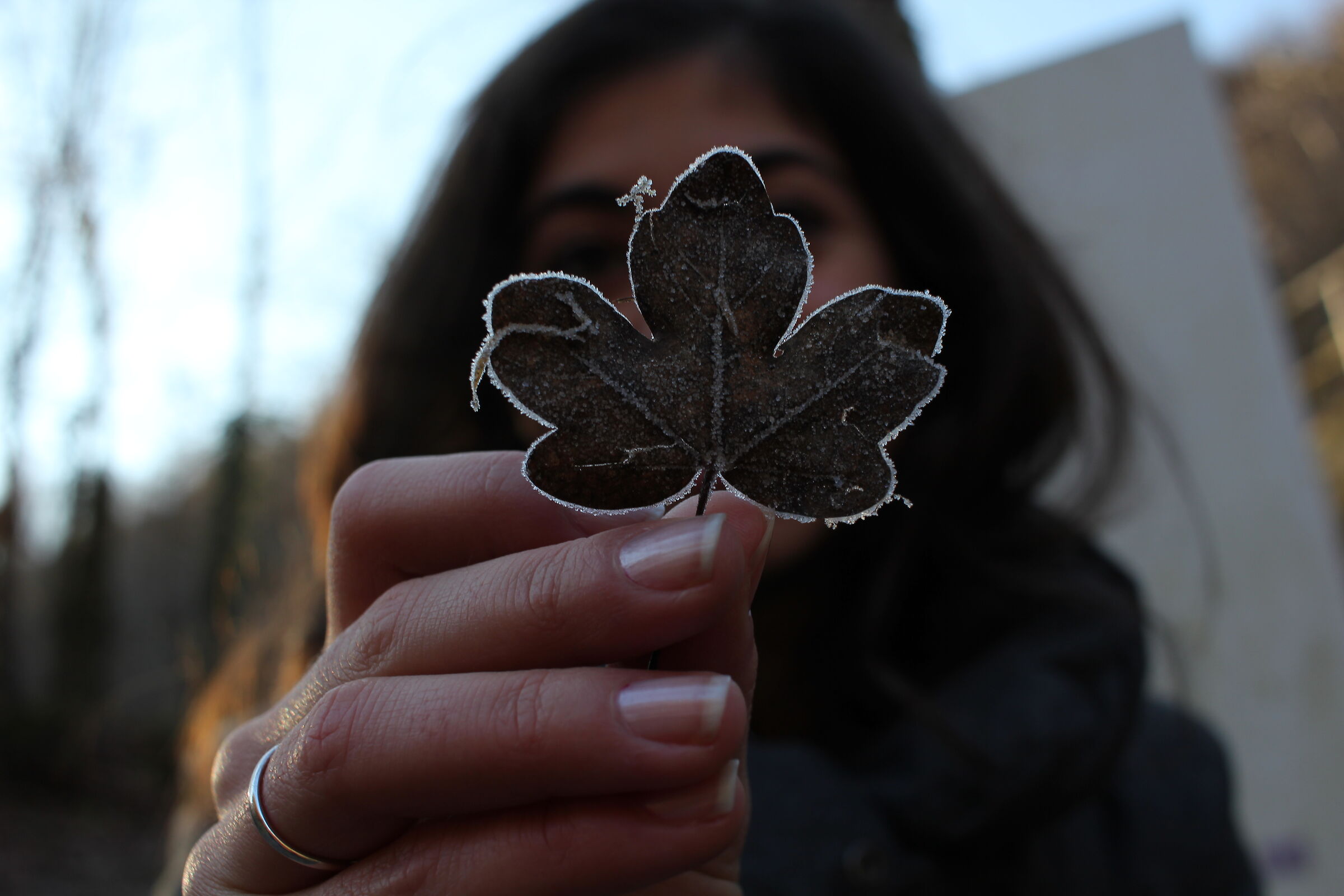 Love leaf