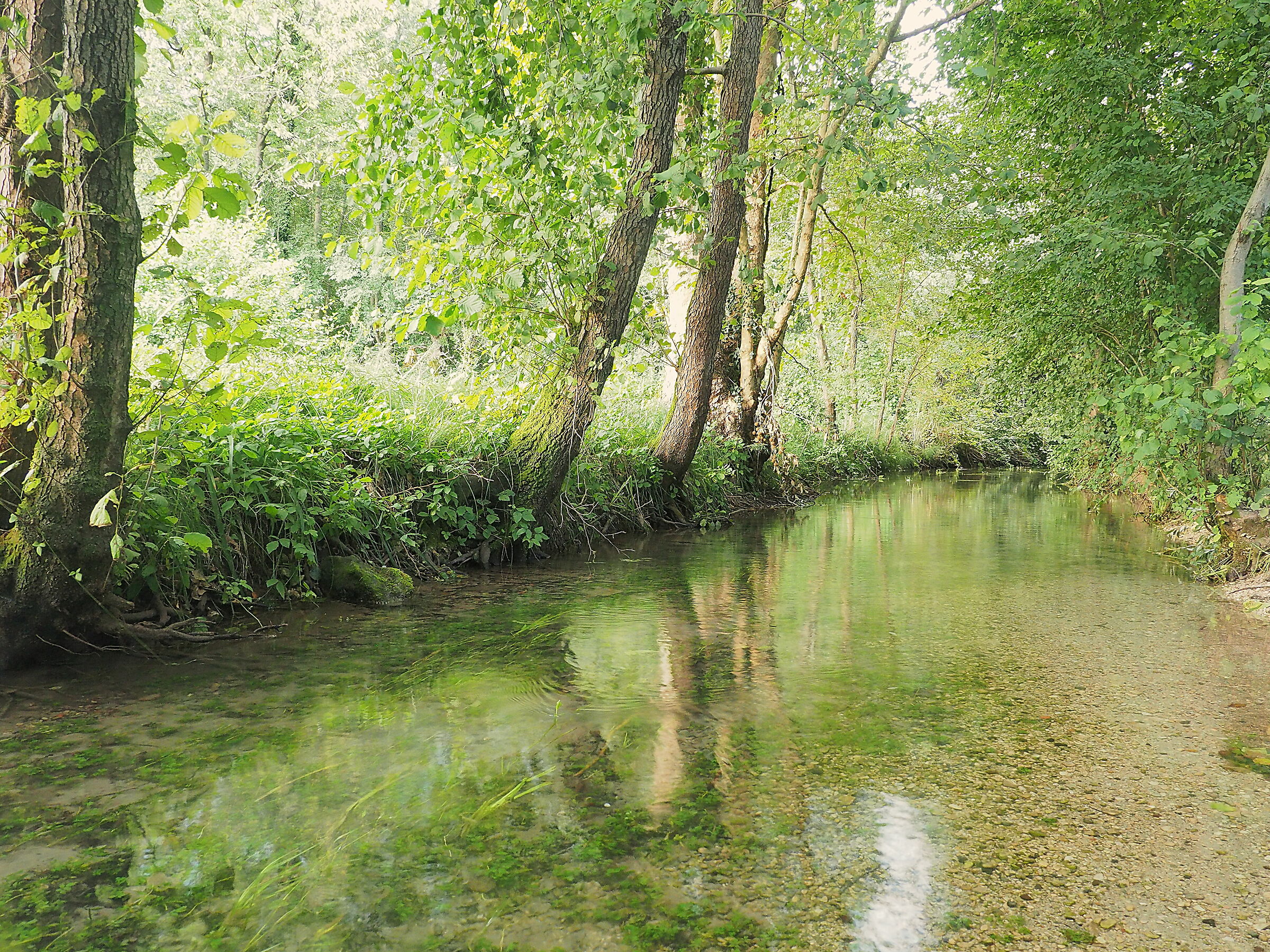 Where a river is born