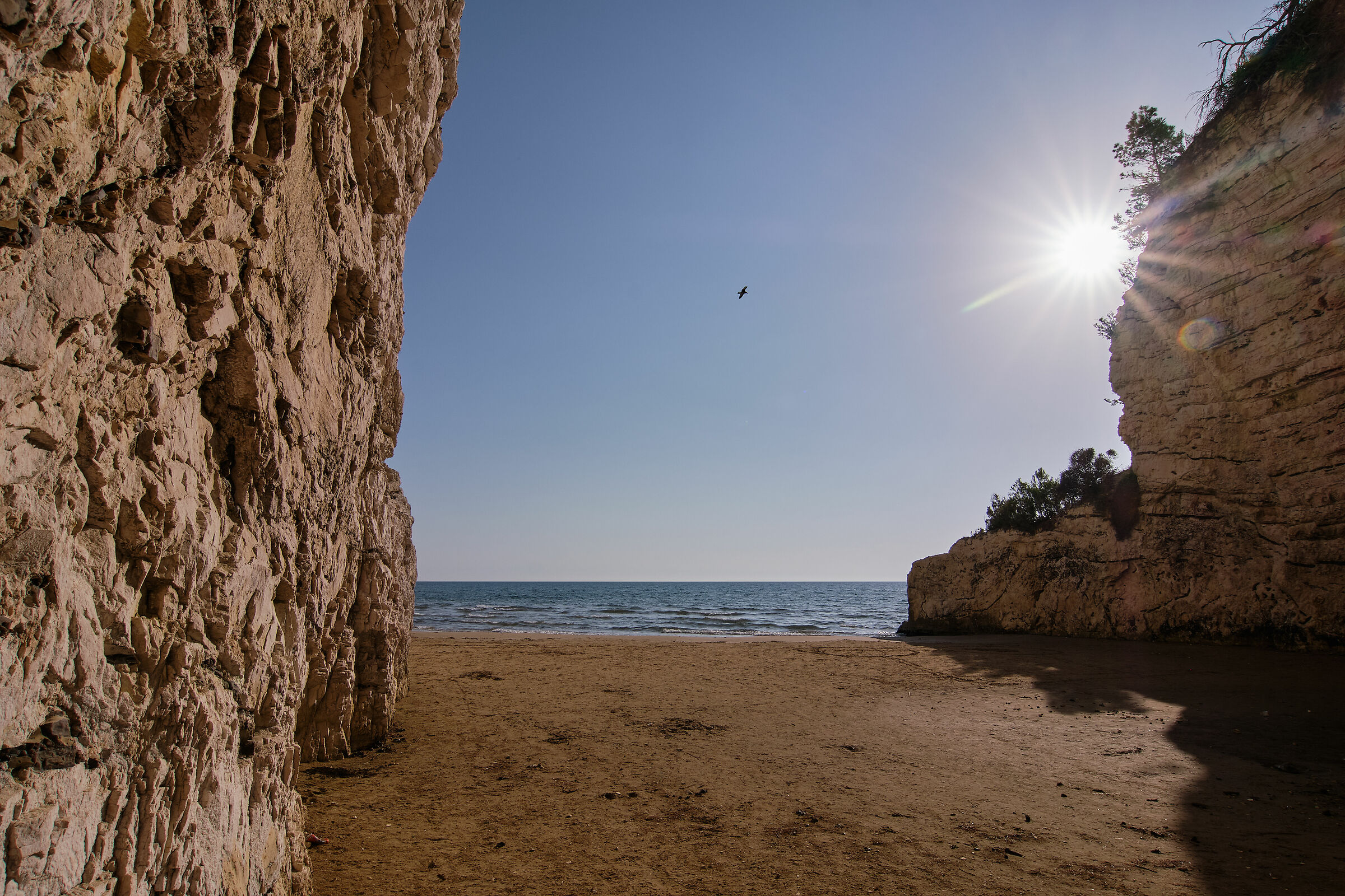 3 Fuji X-H1+adattatore ef-fx1 Andoer+Tokina 12-24 f4 II