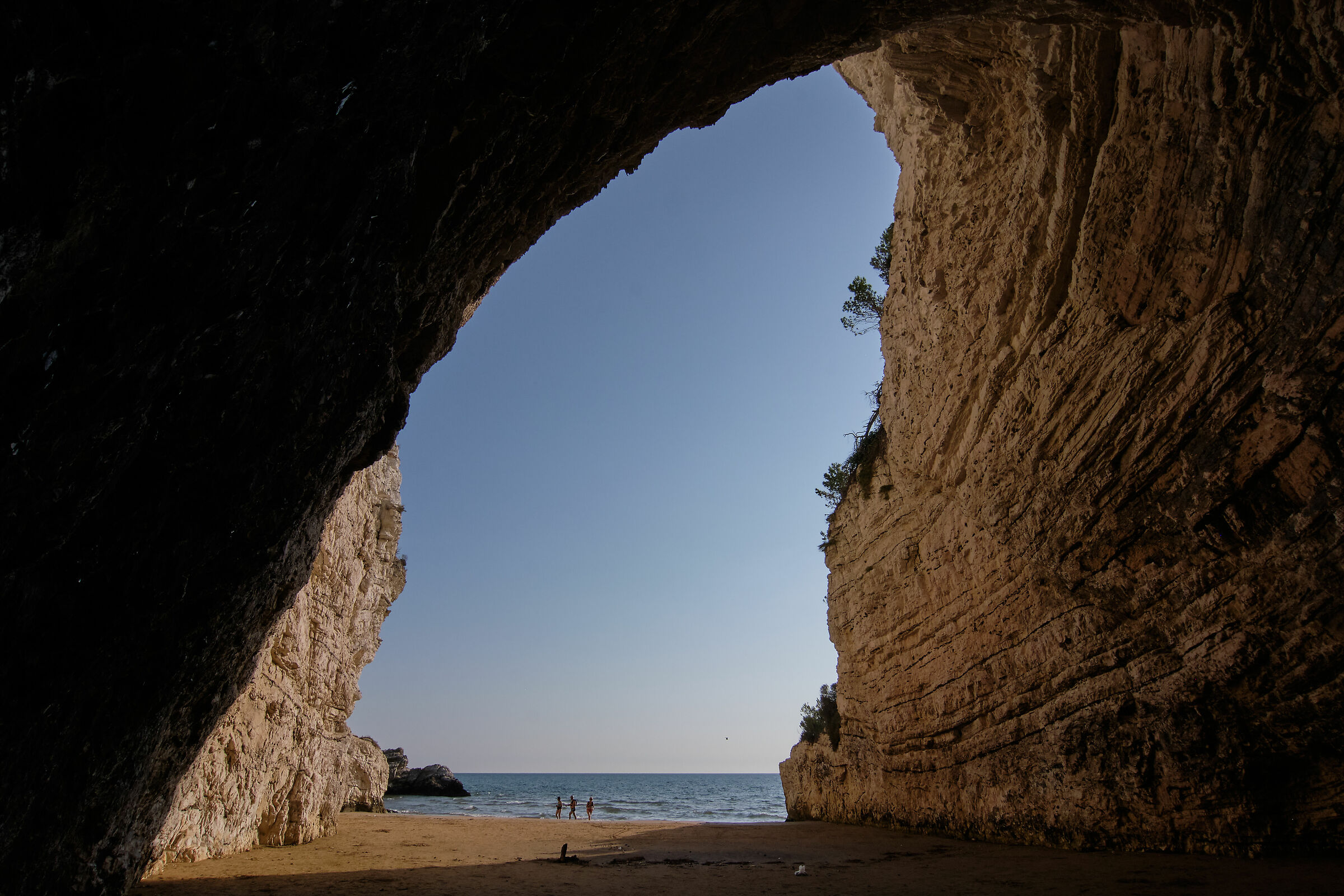 5 Fuji X-H1+adattatore ef-fx1 Andoer+Tokina 12-24 f4 II